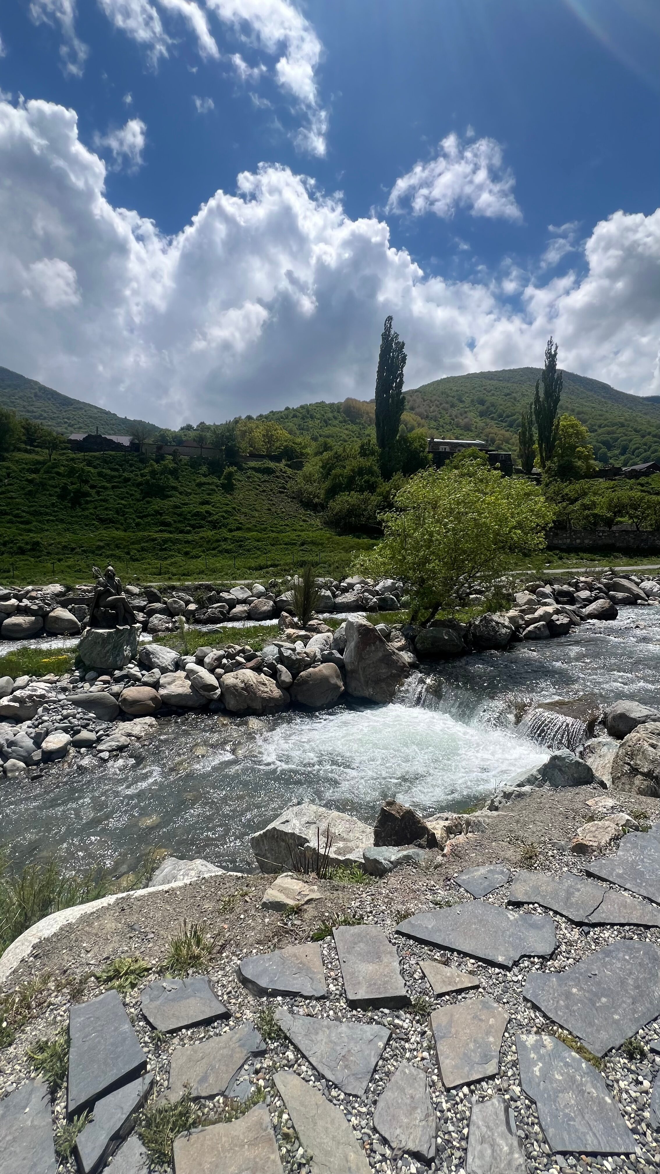 Фото Фруктовый Сад