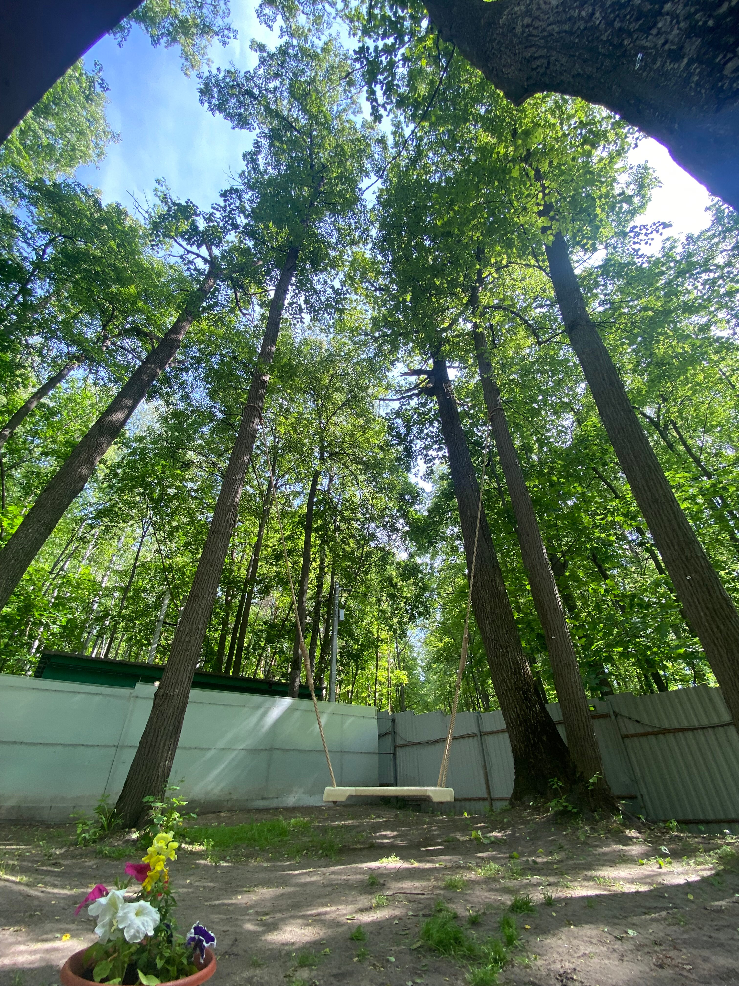 Фото Монте-Карло