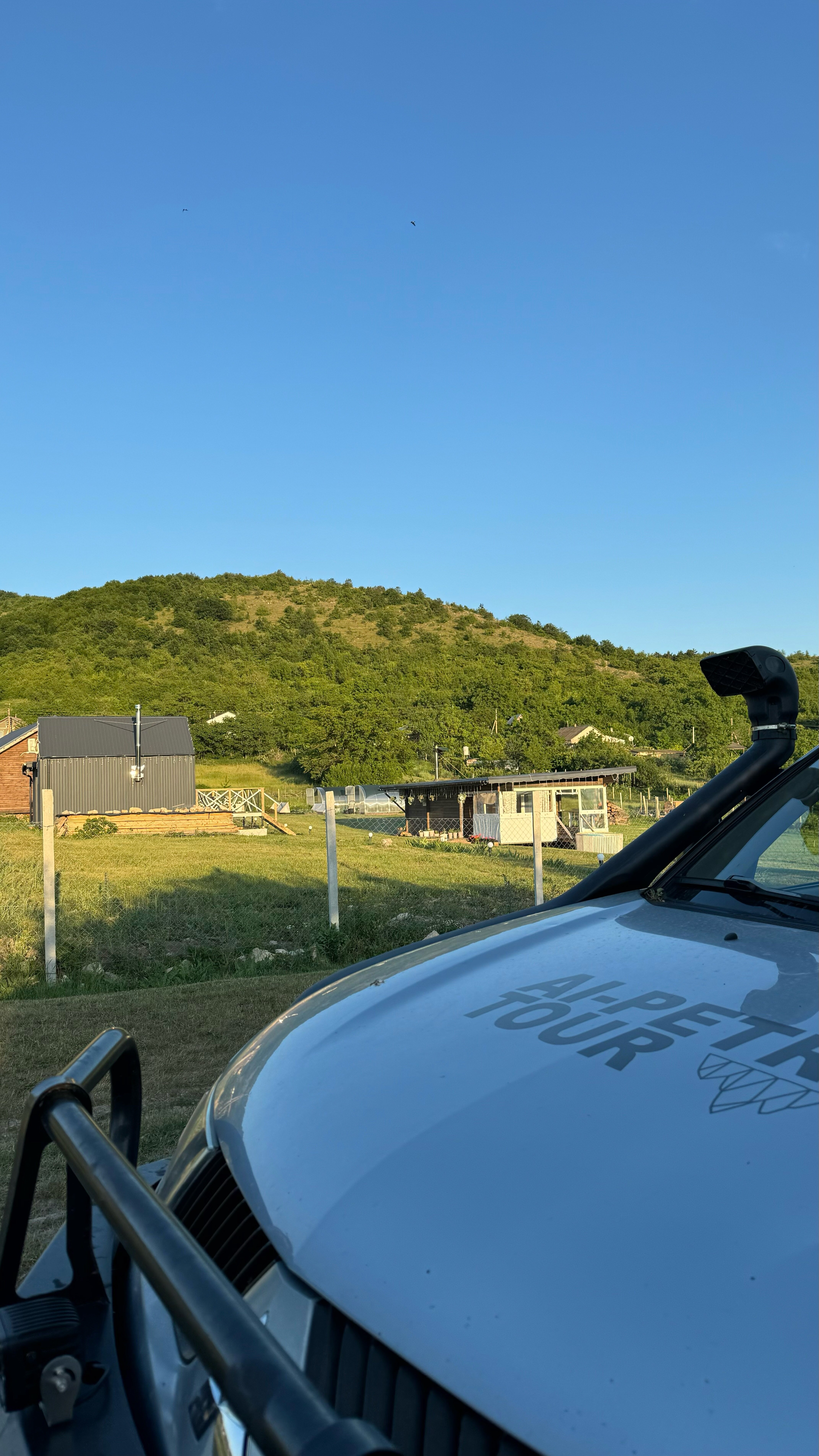 Фото Зарянка