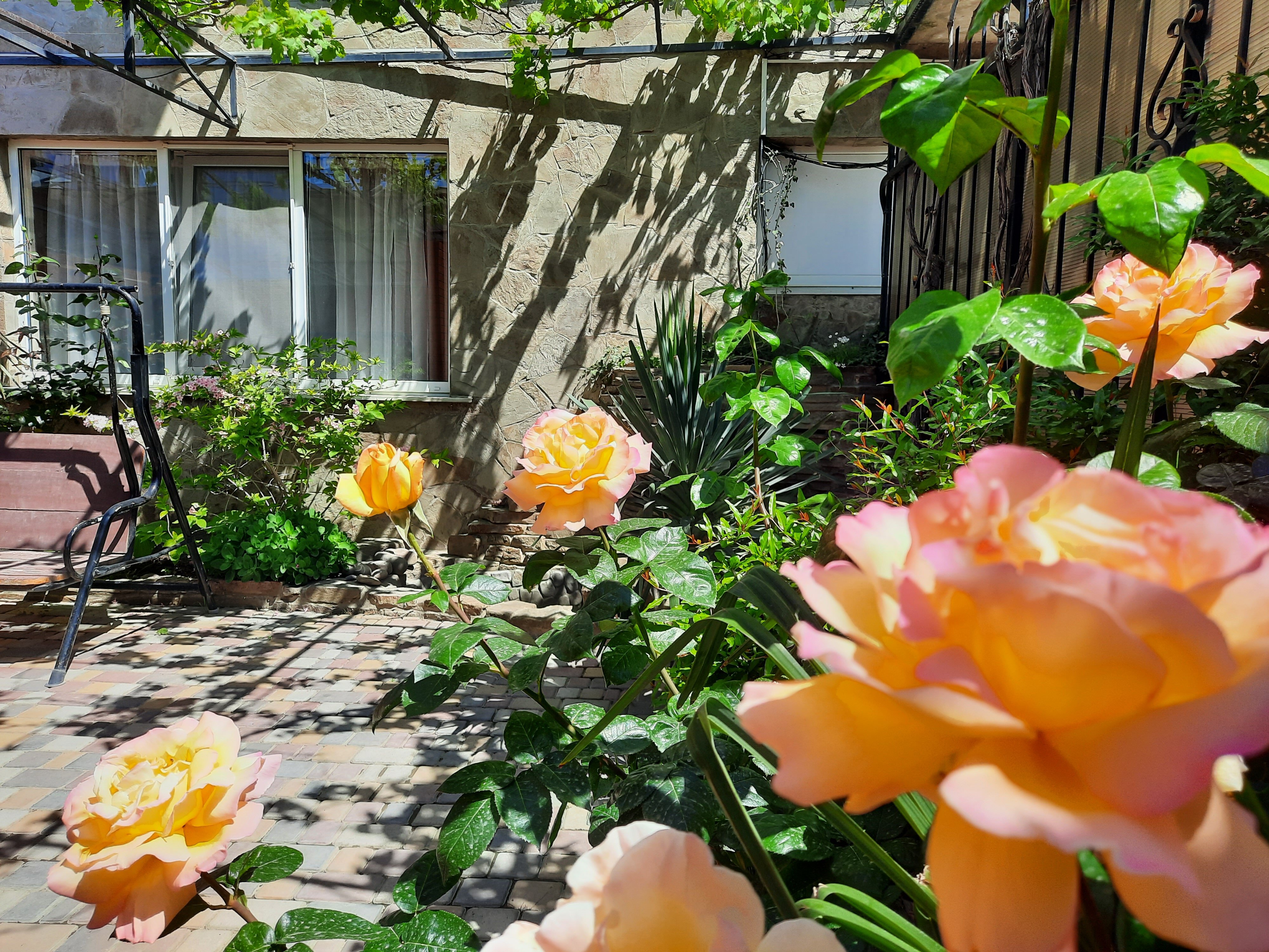 Фото Морской ангел