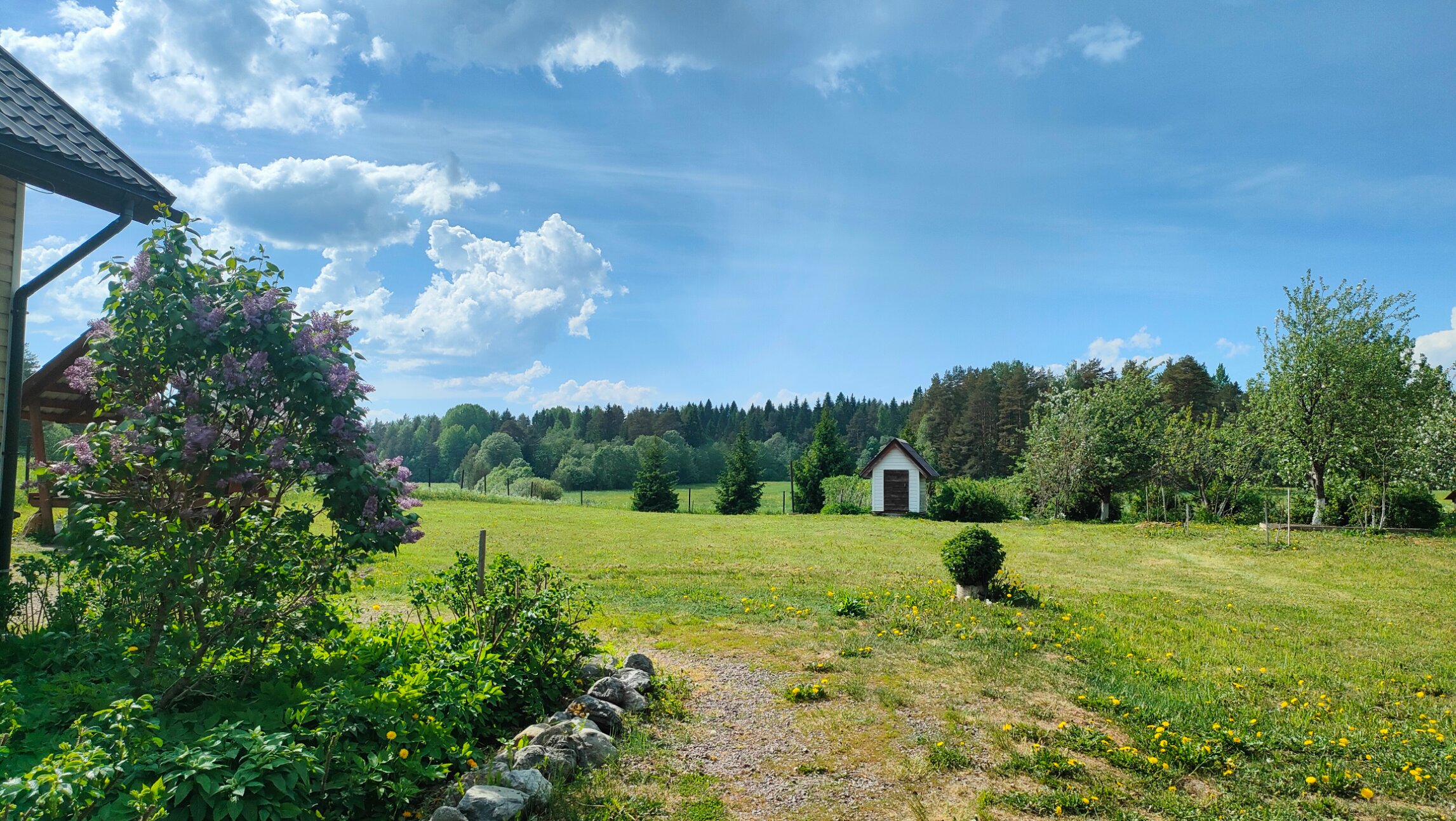 Фото Остров Мейери