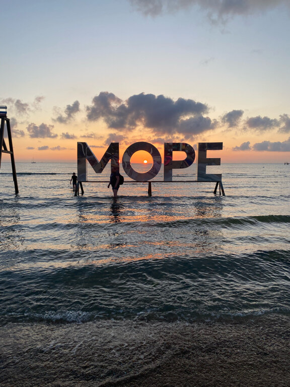 Фото Альбатрос