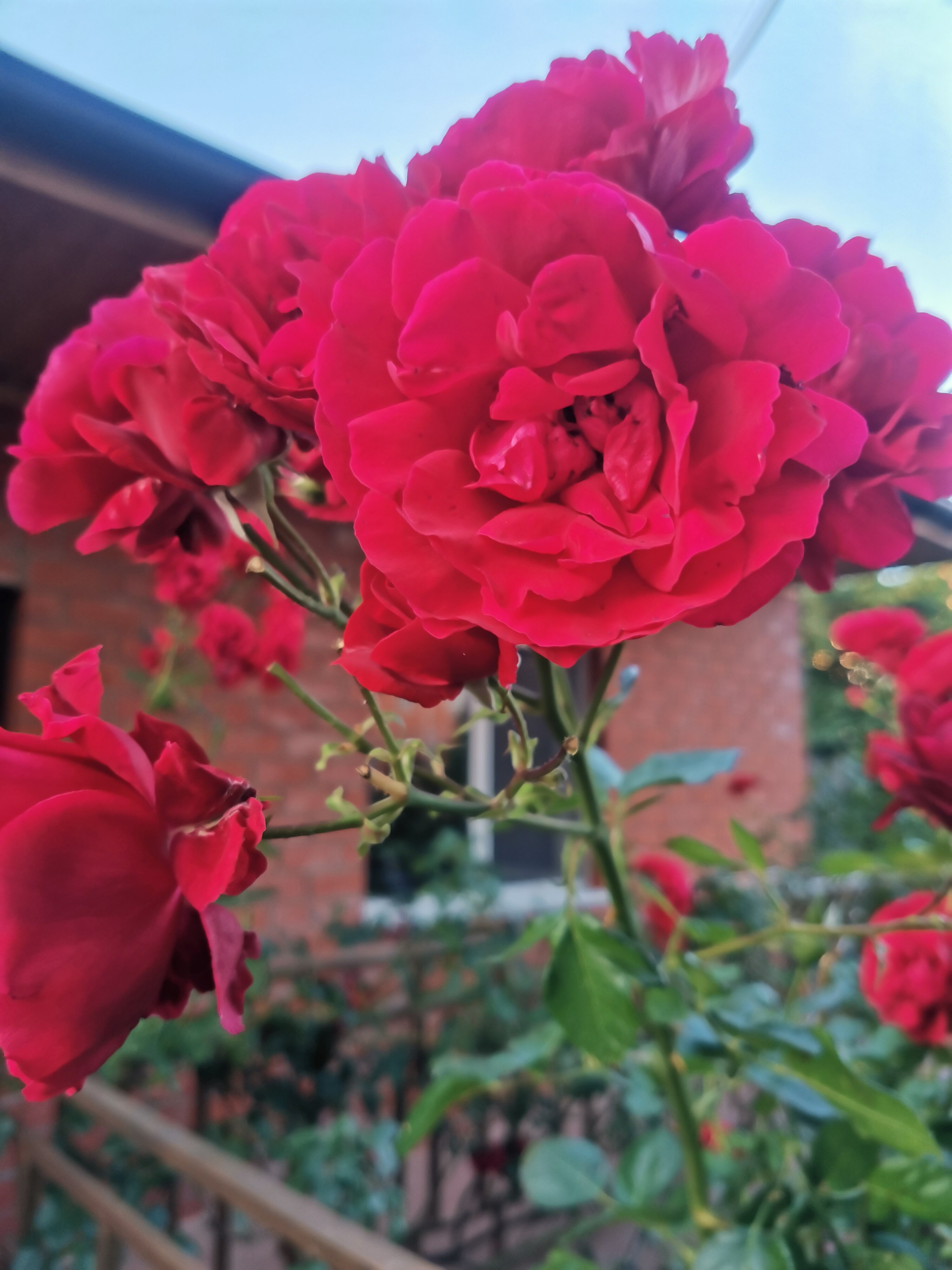 Фото Терраса 28