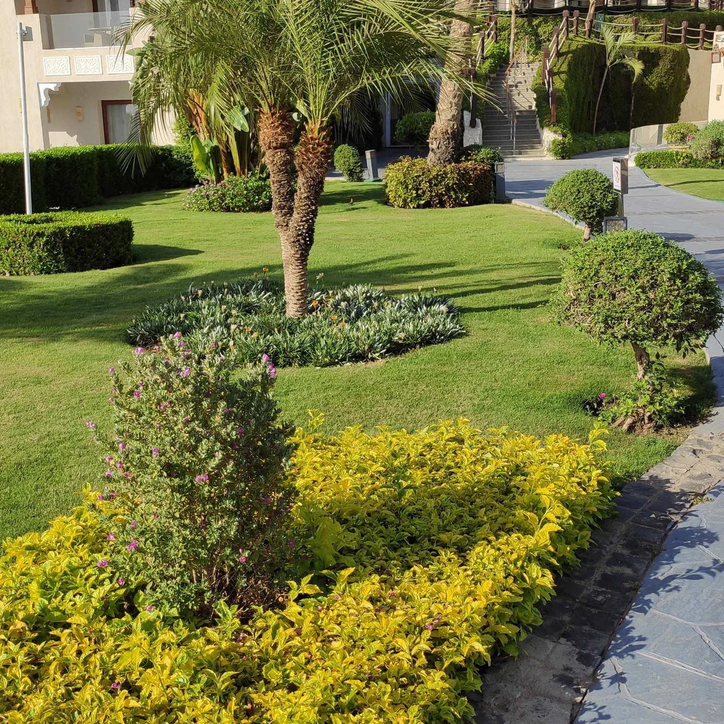 Фото Sunrise Arabian Beach Resort