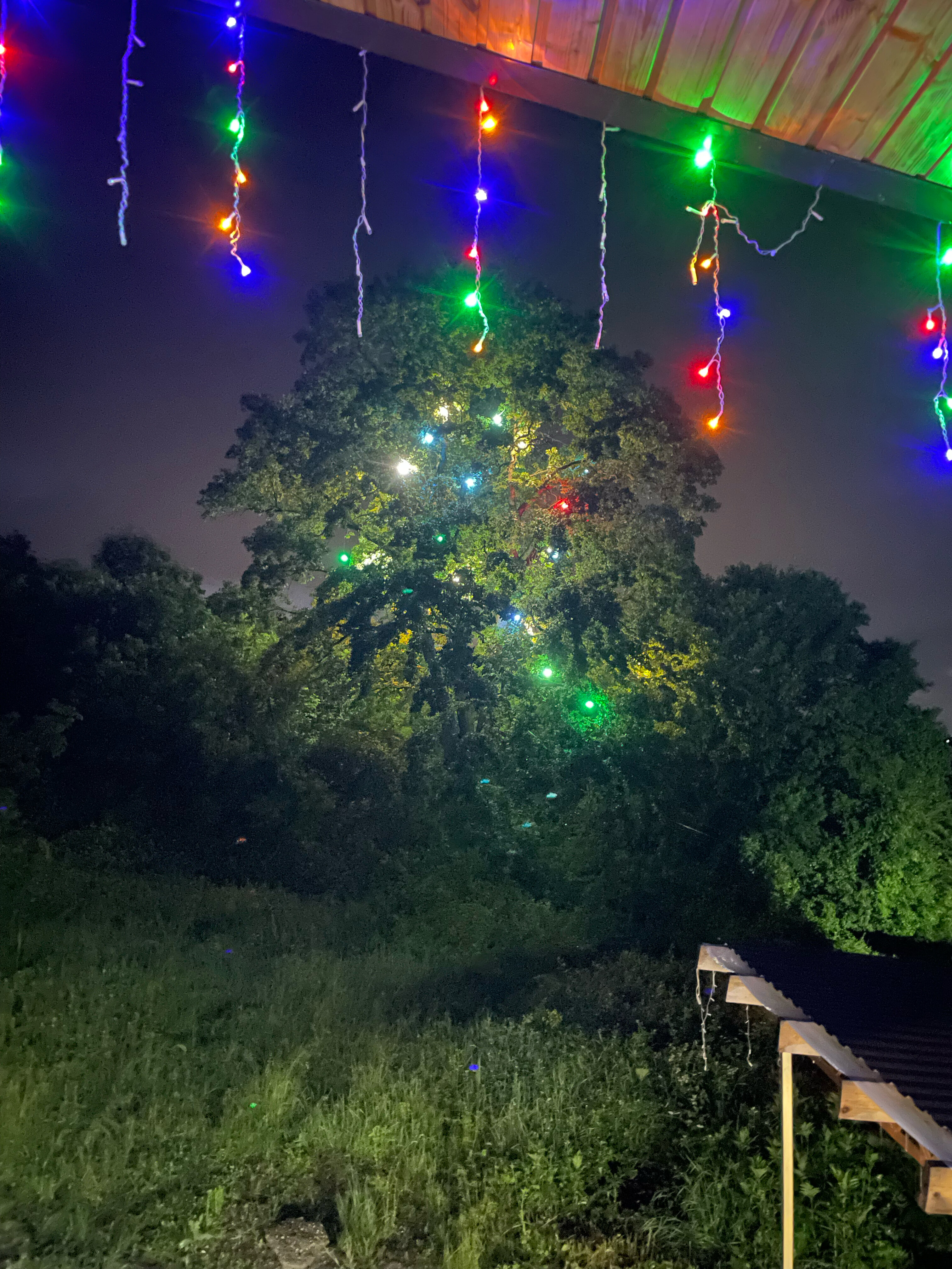 Фото Латифундия. 01