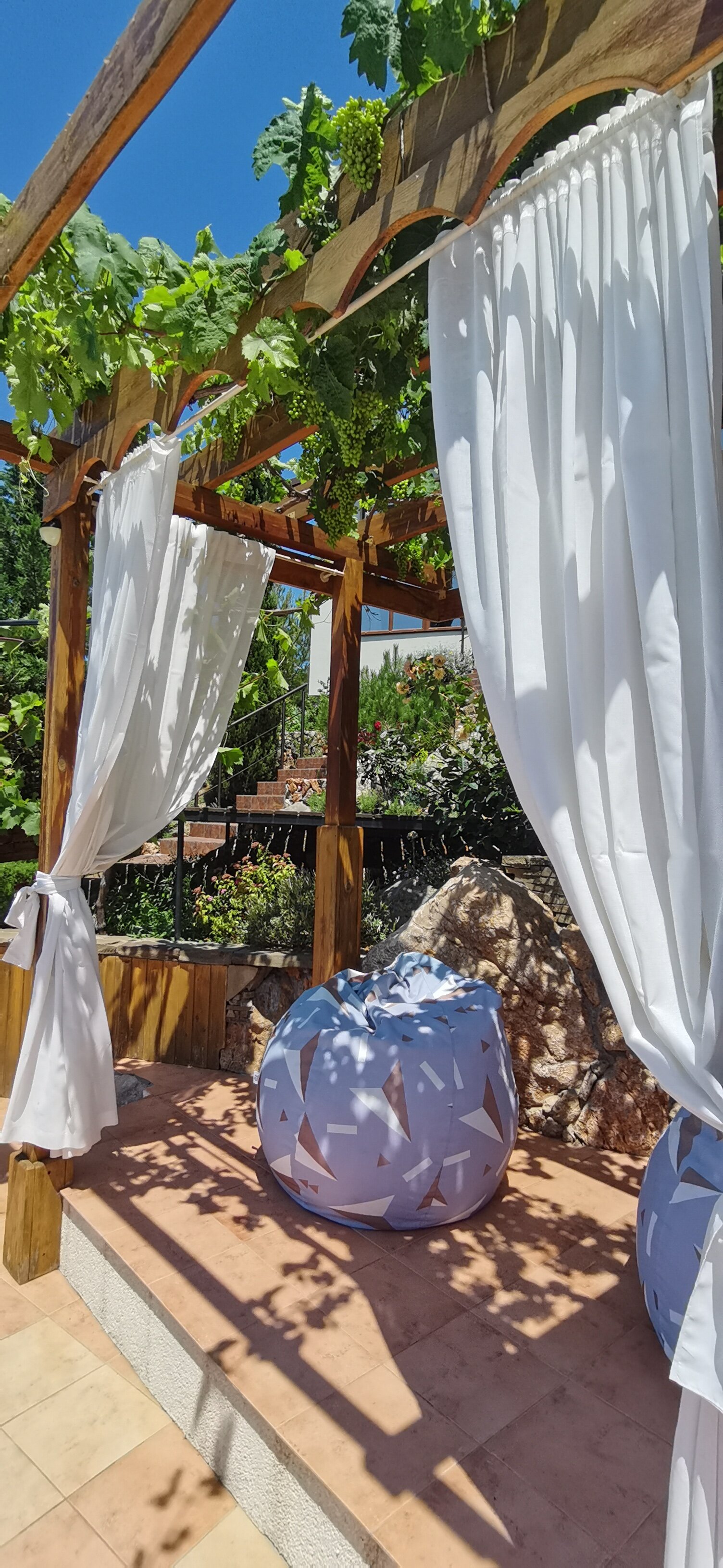 Фото Кипарис