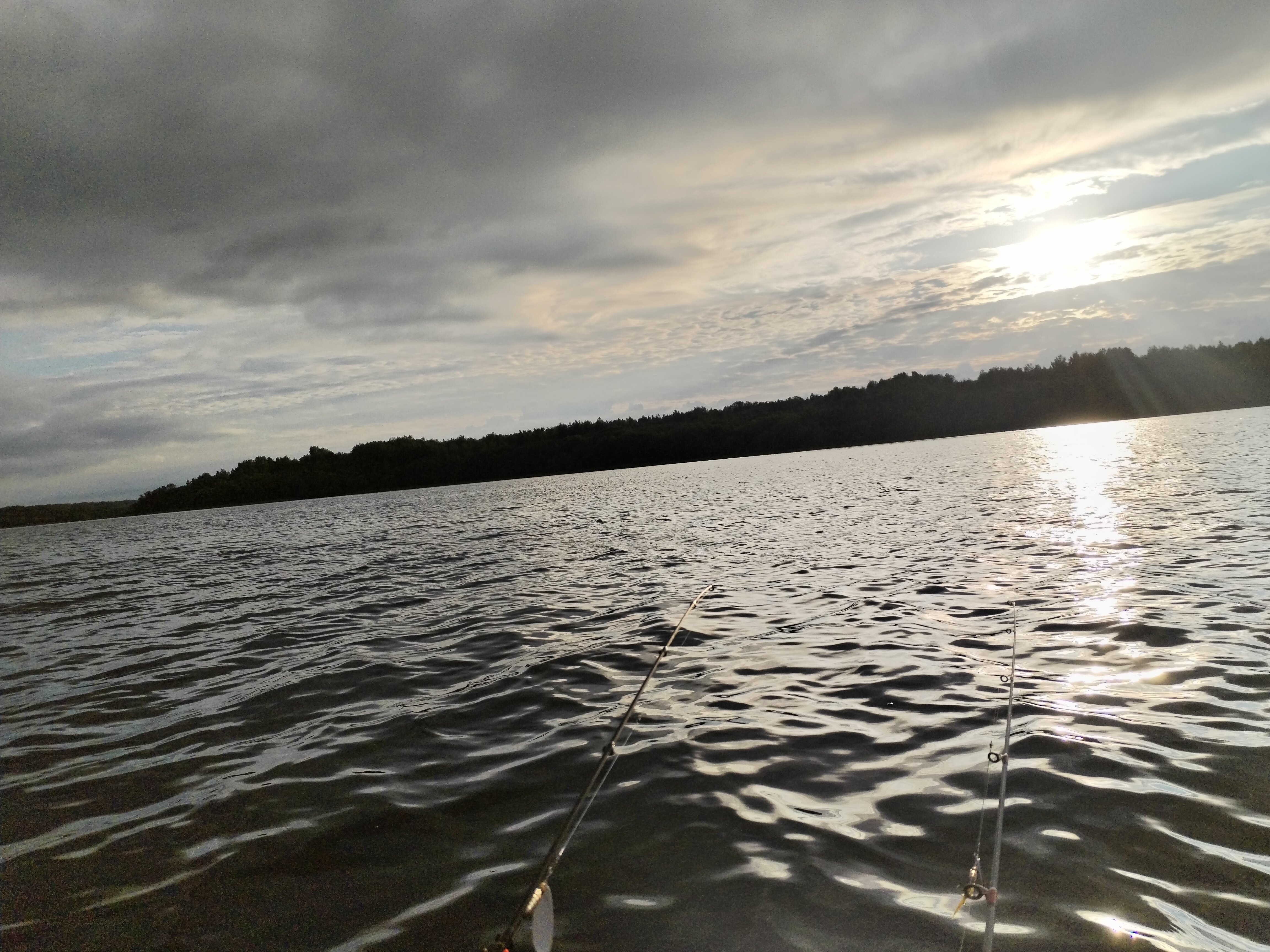 Фото Рутавечь