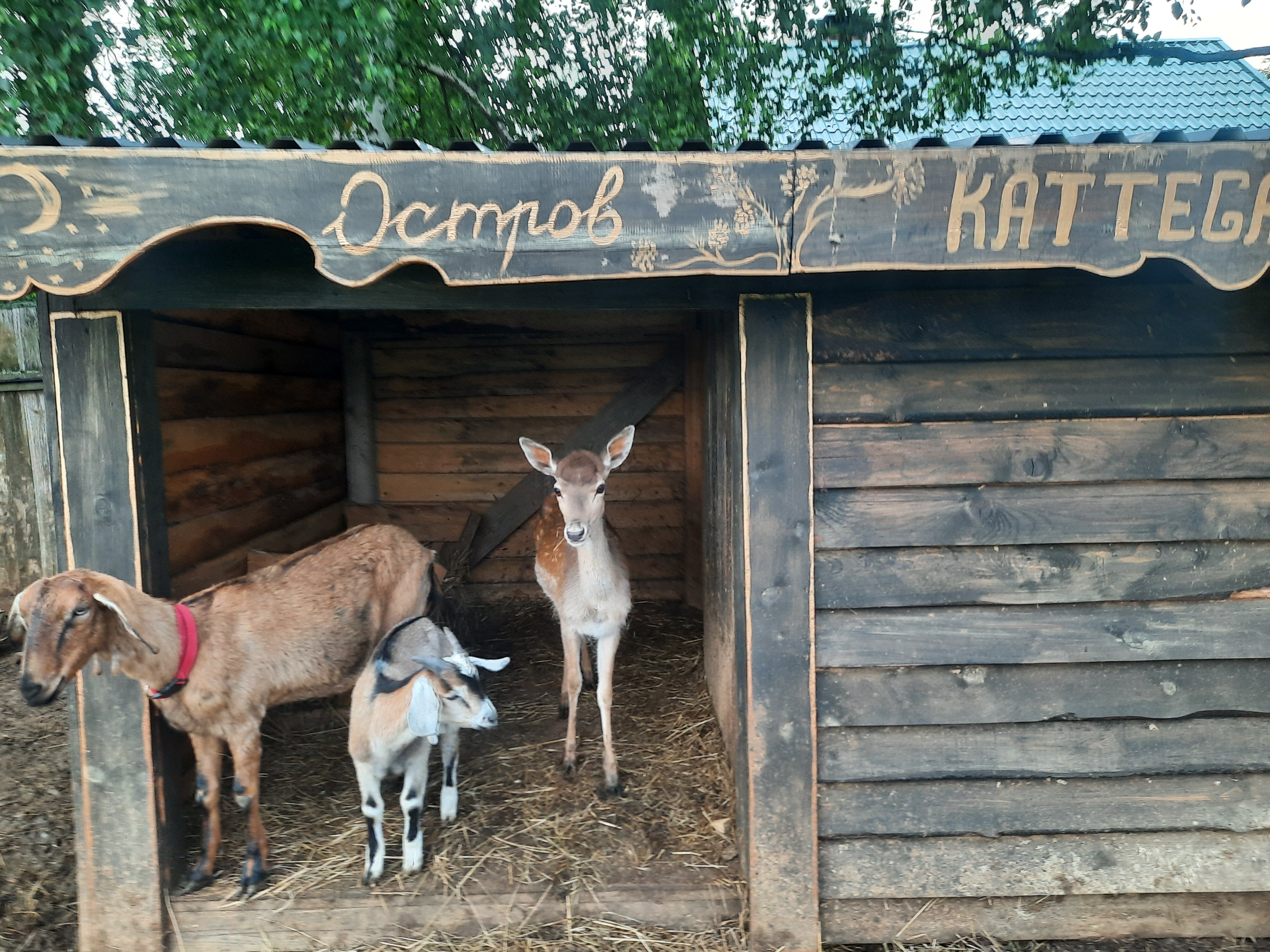 Фото Остров Kattegat