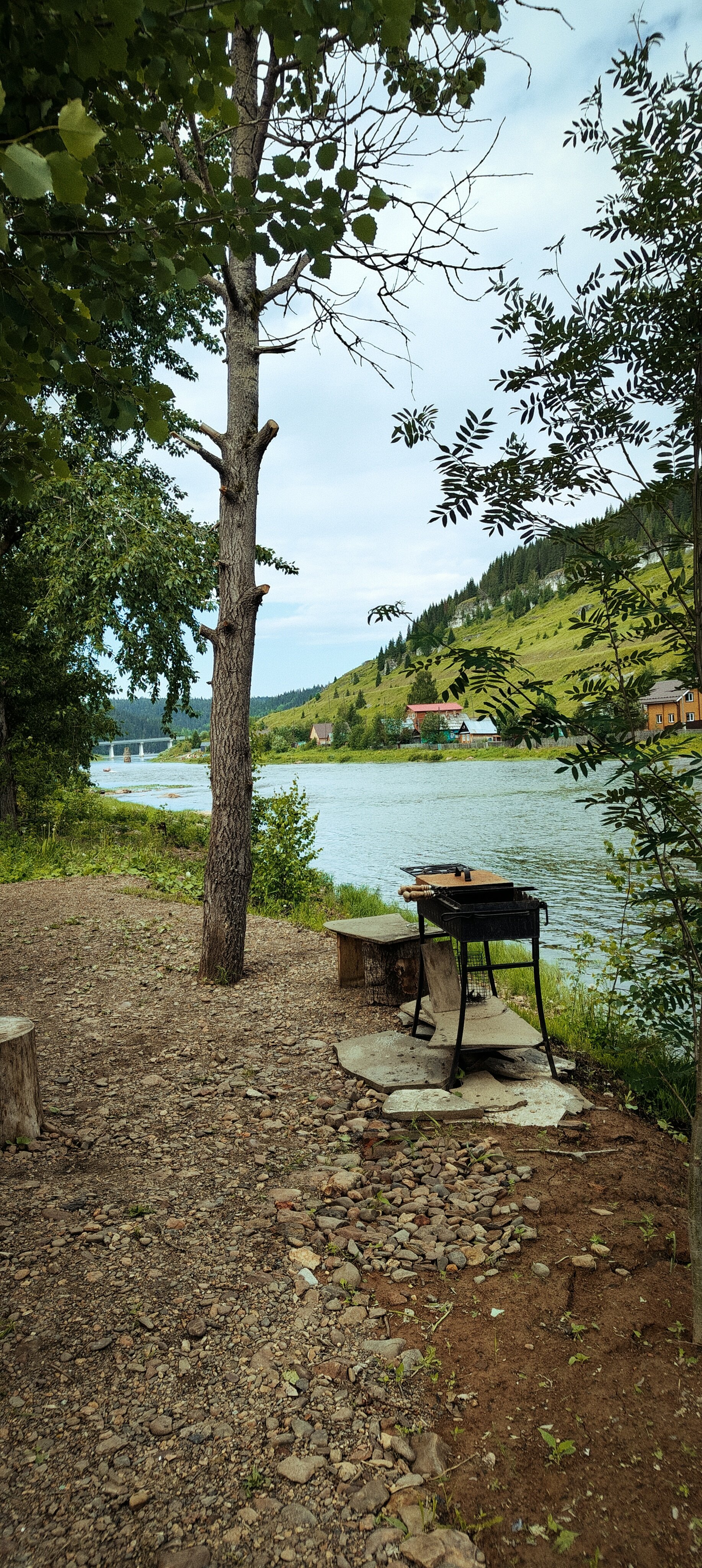 Фото Большая медведица