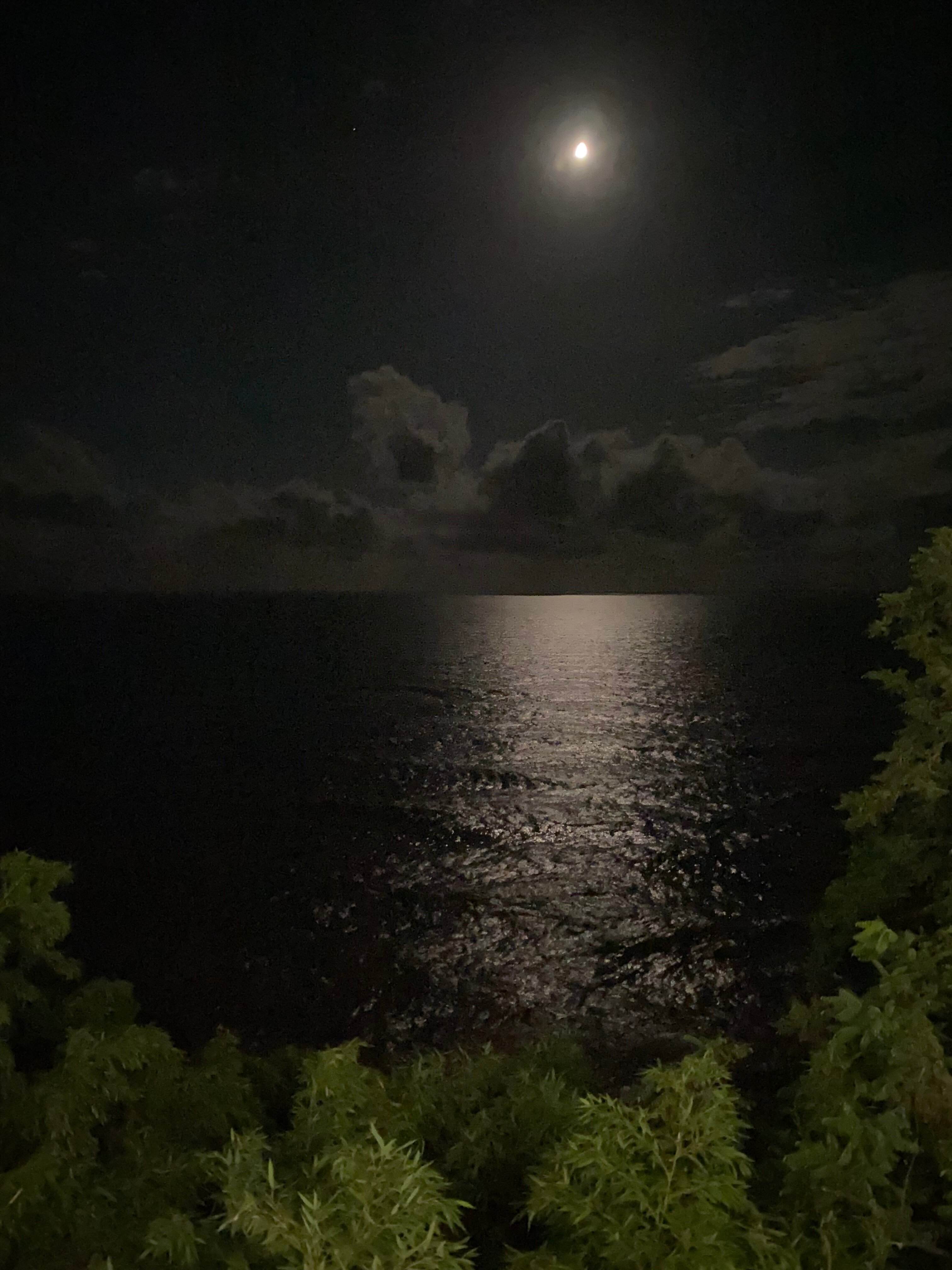 Фото Вилла Плаза