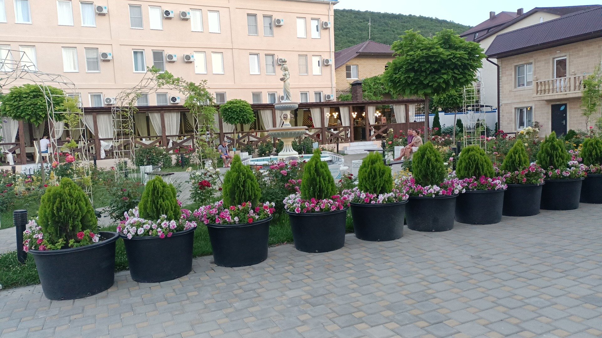 Фото МоРеми