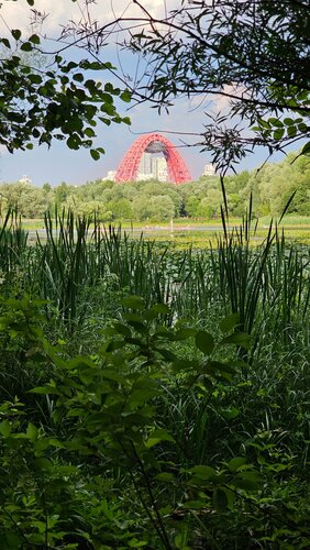 Онлайн камерада демалыста сексуалдық алдау