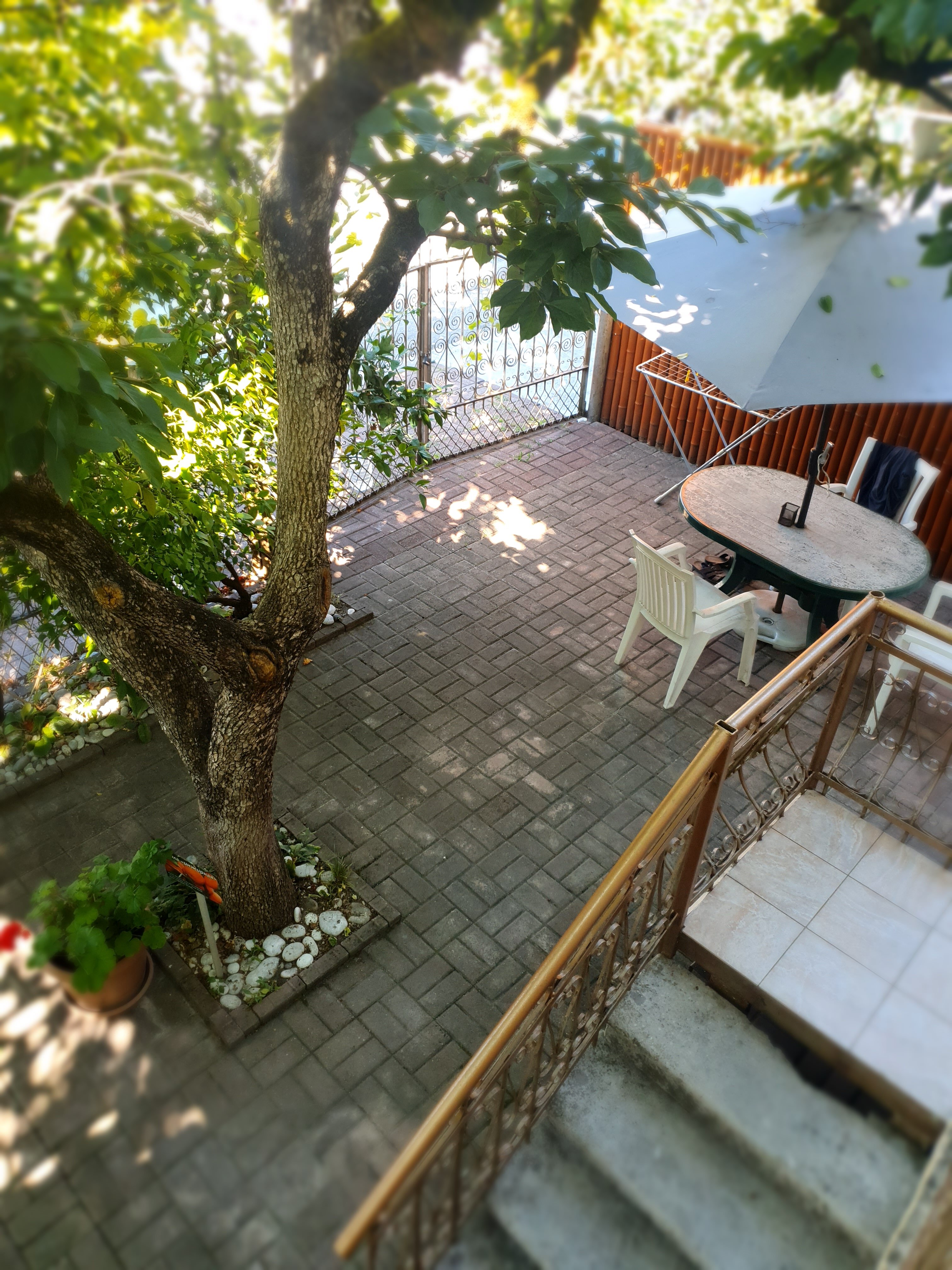 Фото Мини-гостиница Marco Club