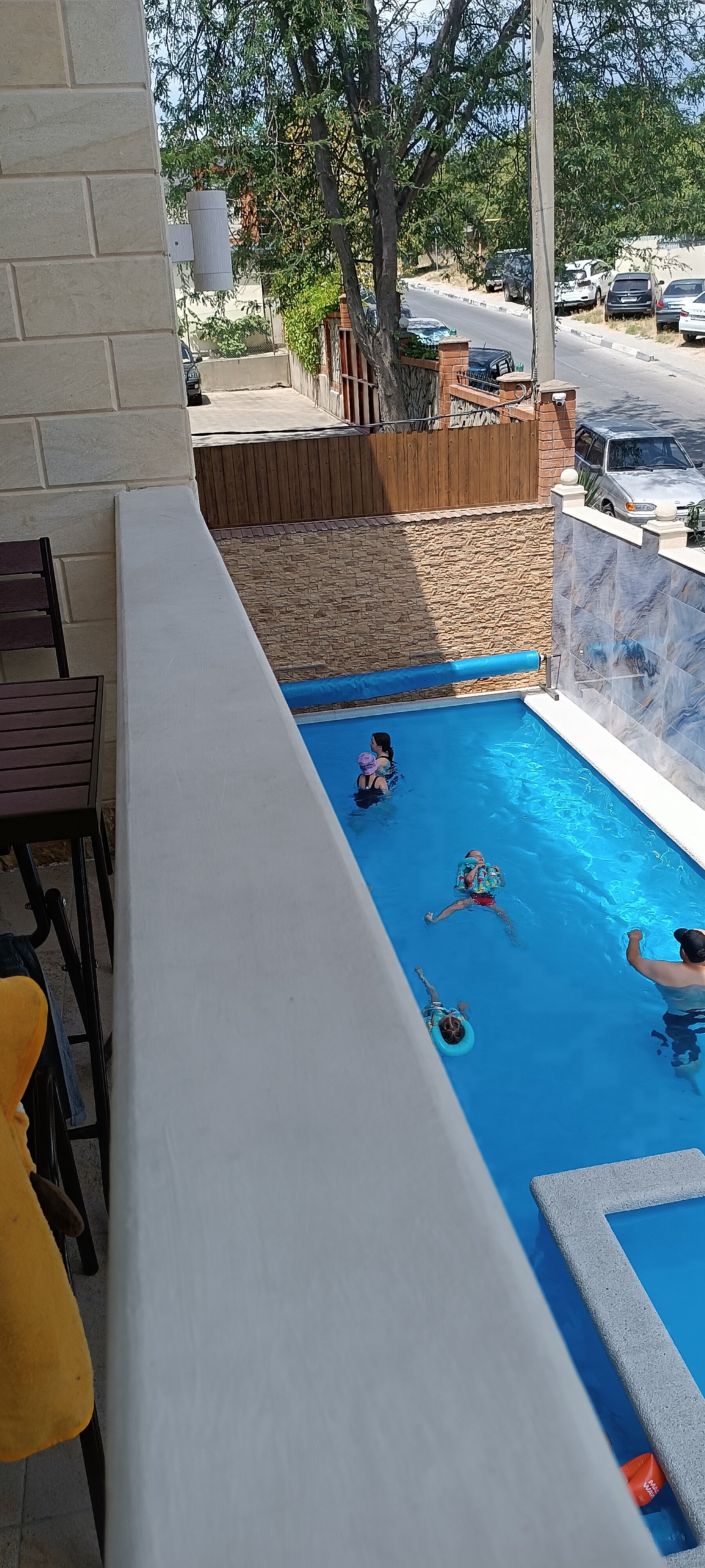 Фото Адонис