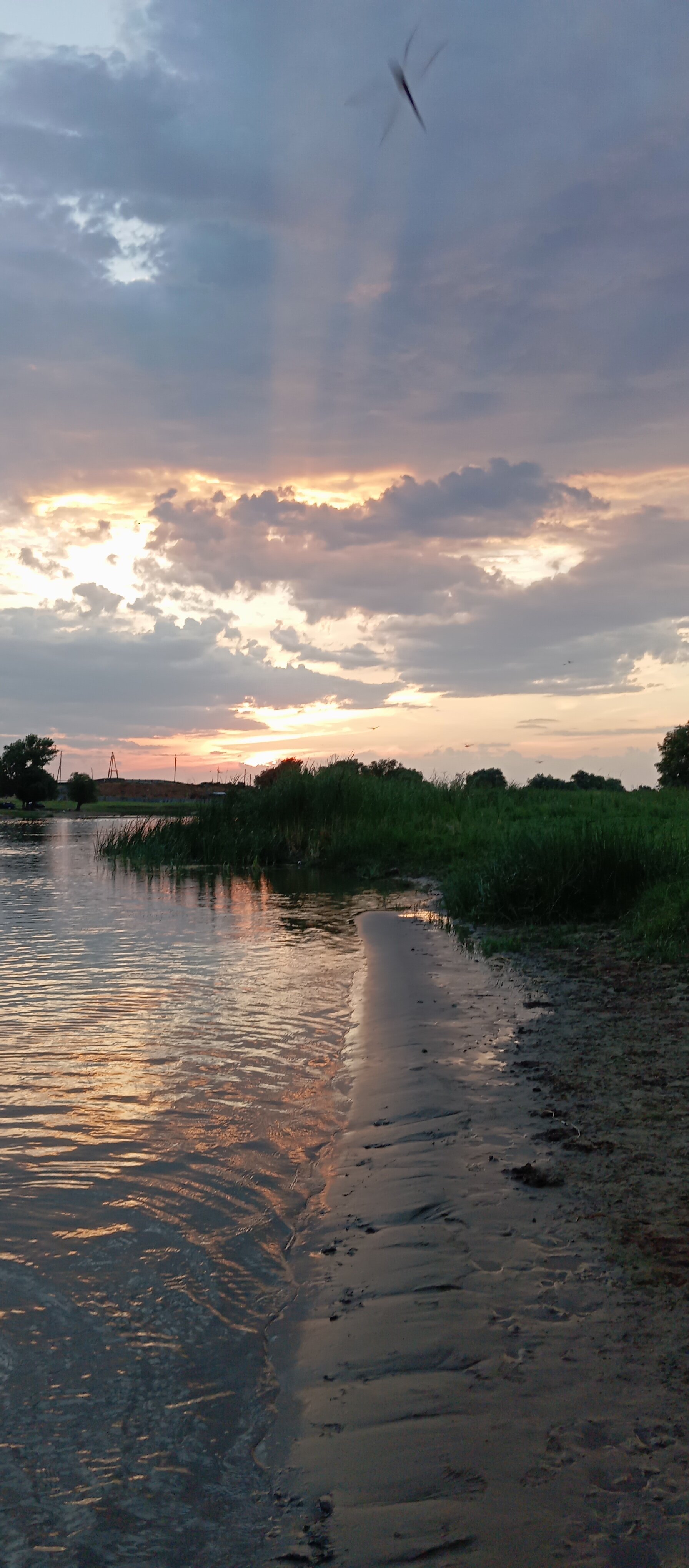 Фото У Анатолича