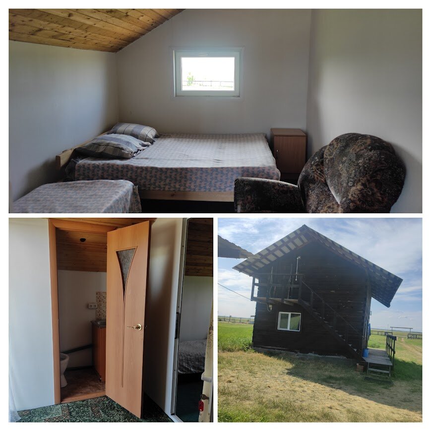 Фото Холодок