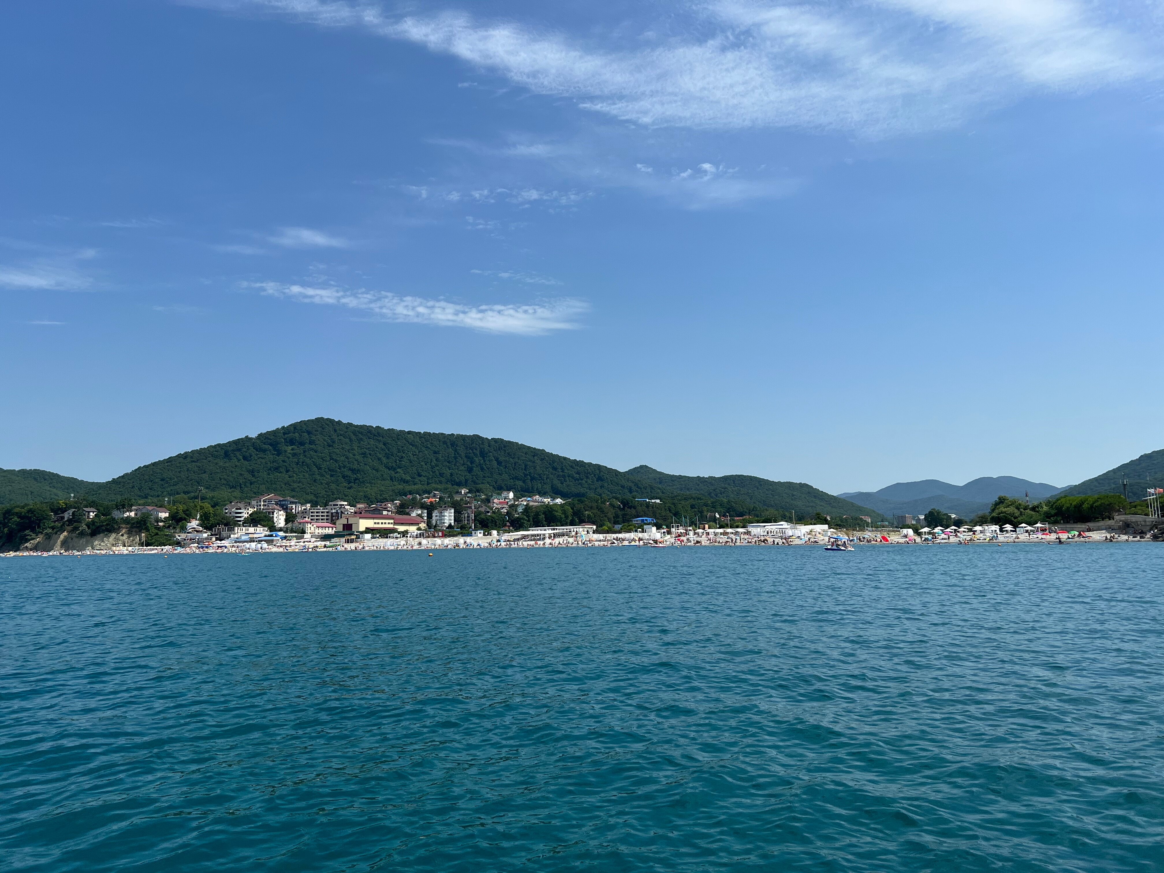 Фото Ежевика