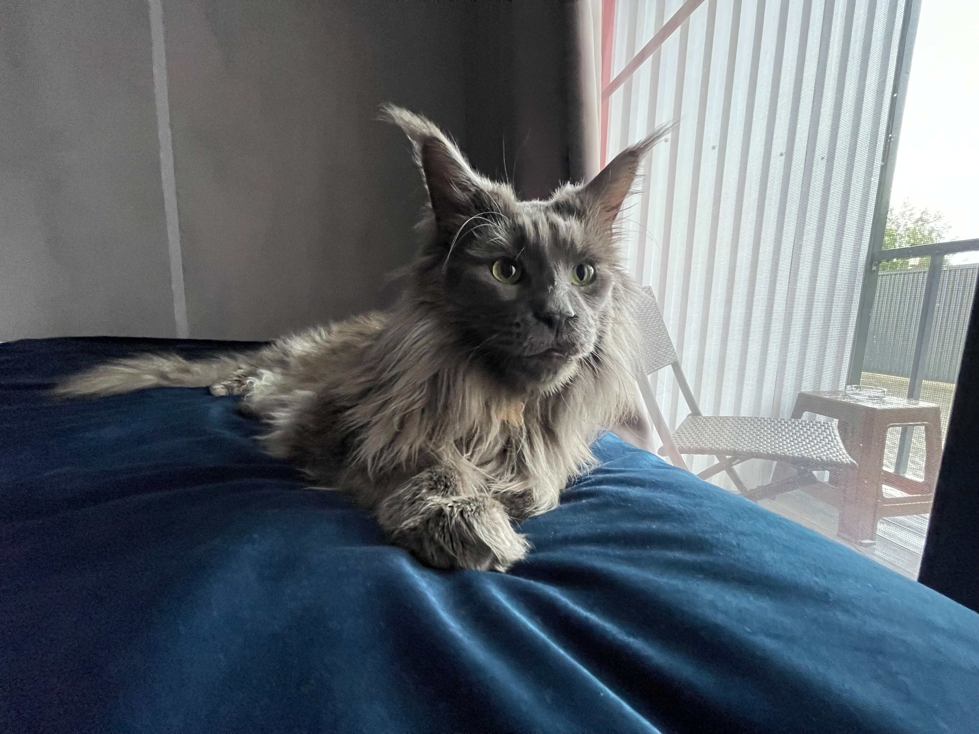 Фото ЛяКатю