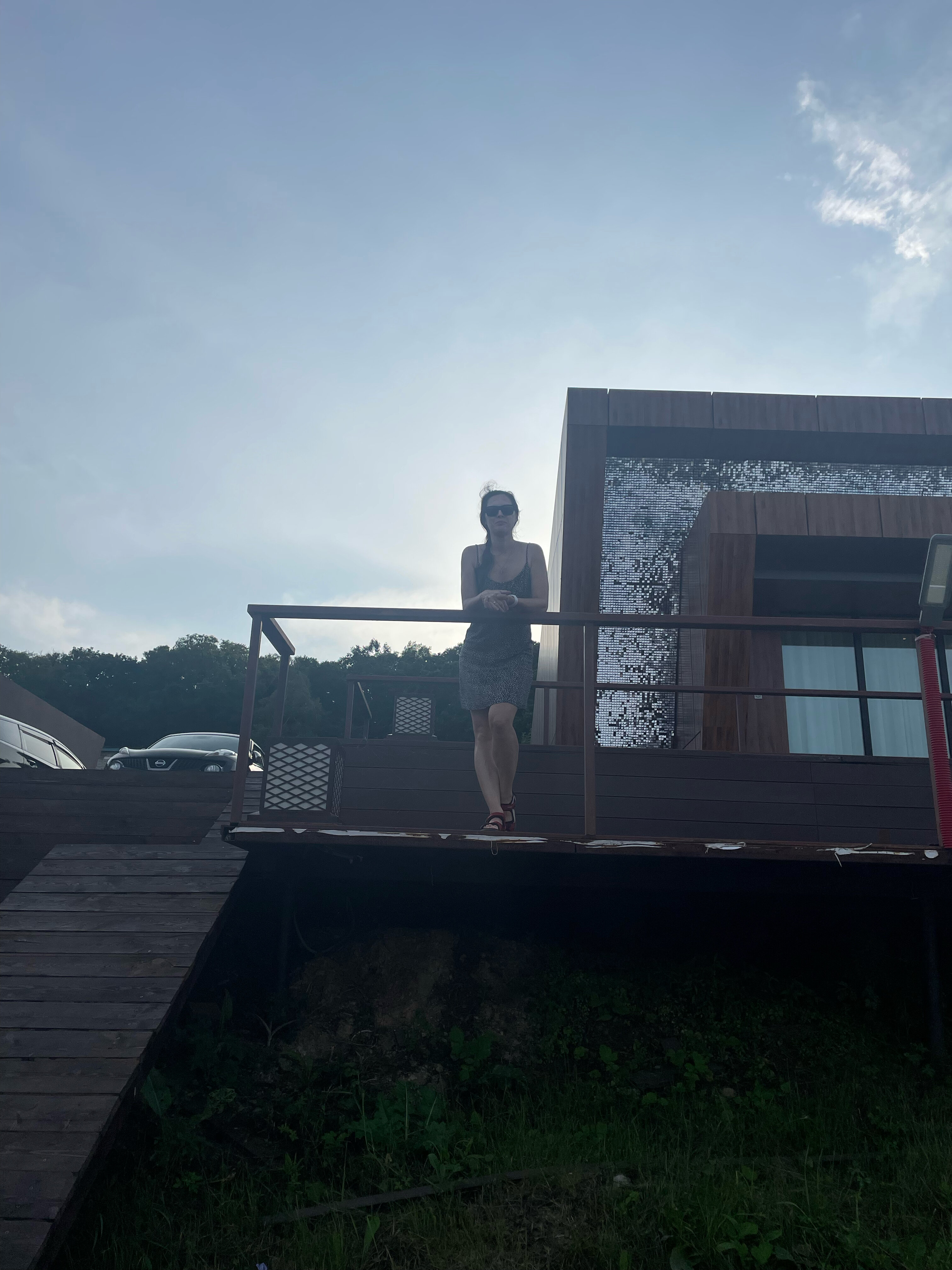 Фото Лазурная черепаха