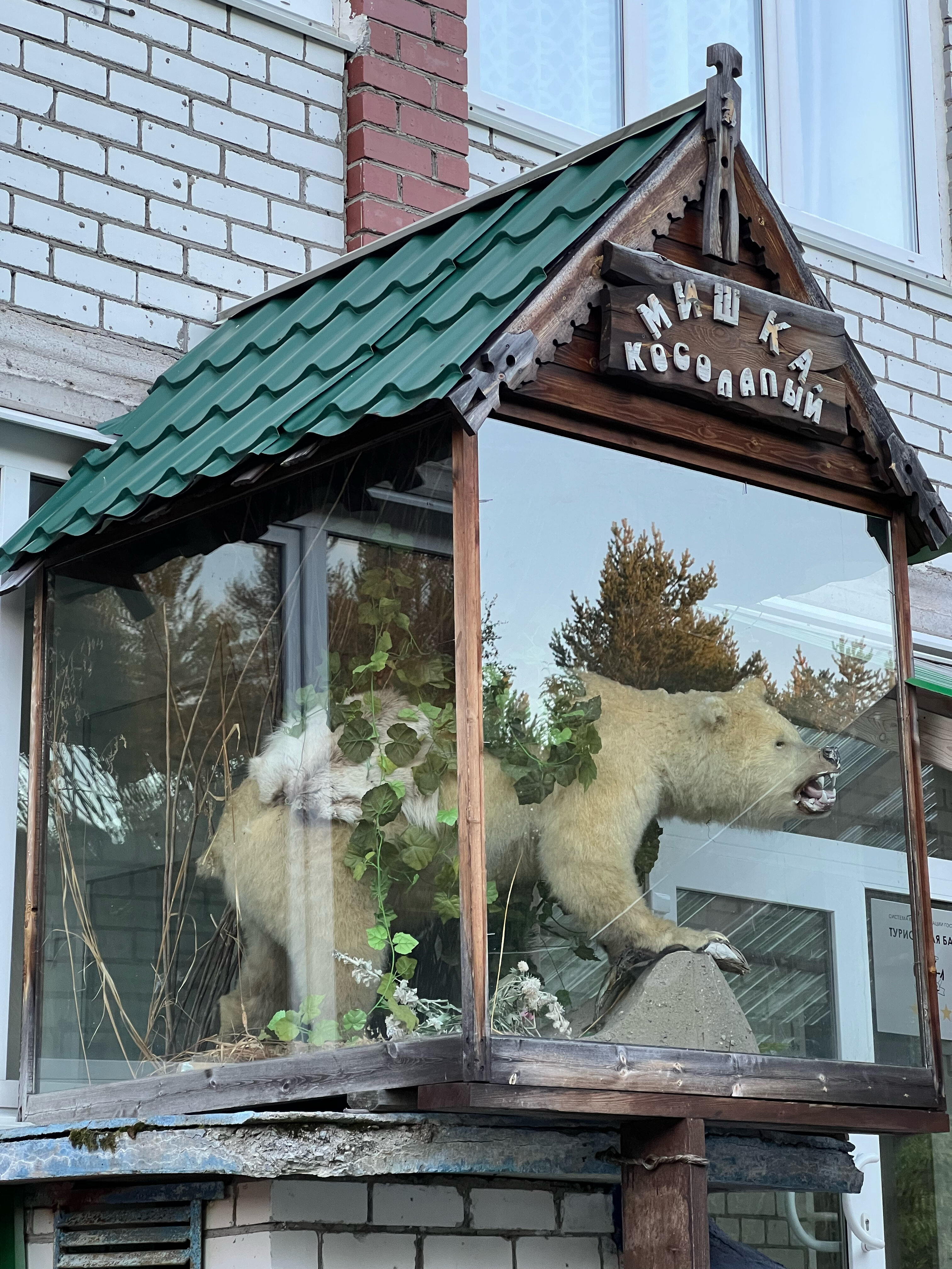 Фото Каравелла