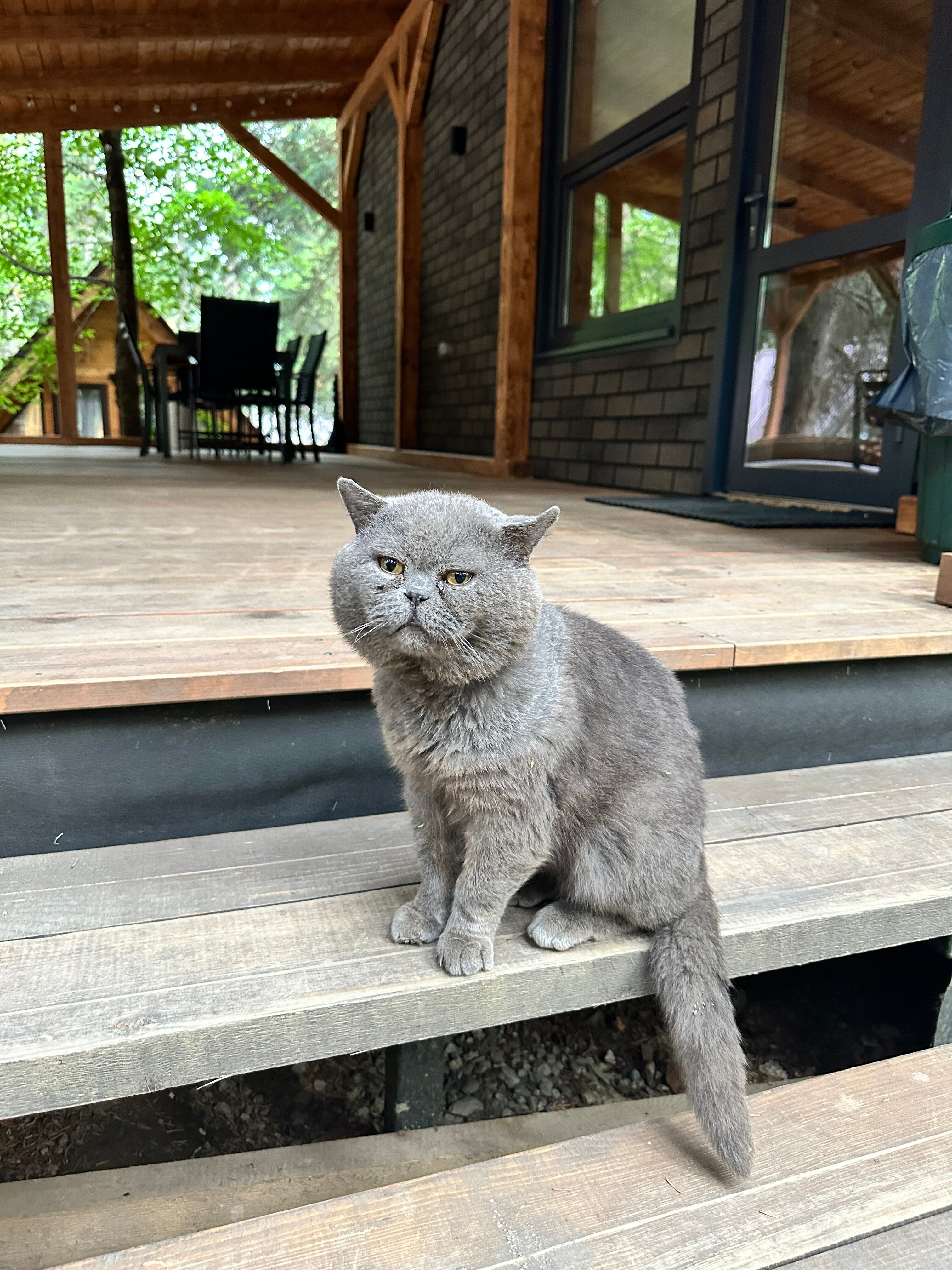 Фото Алан Коттедж