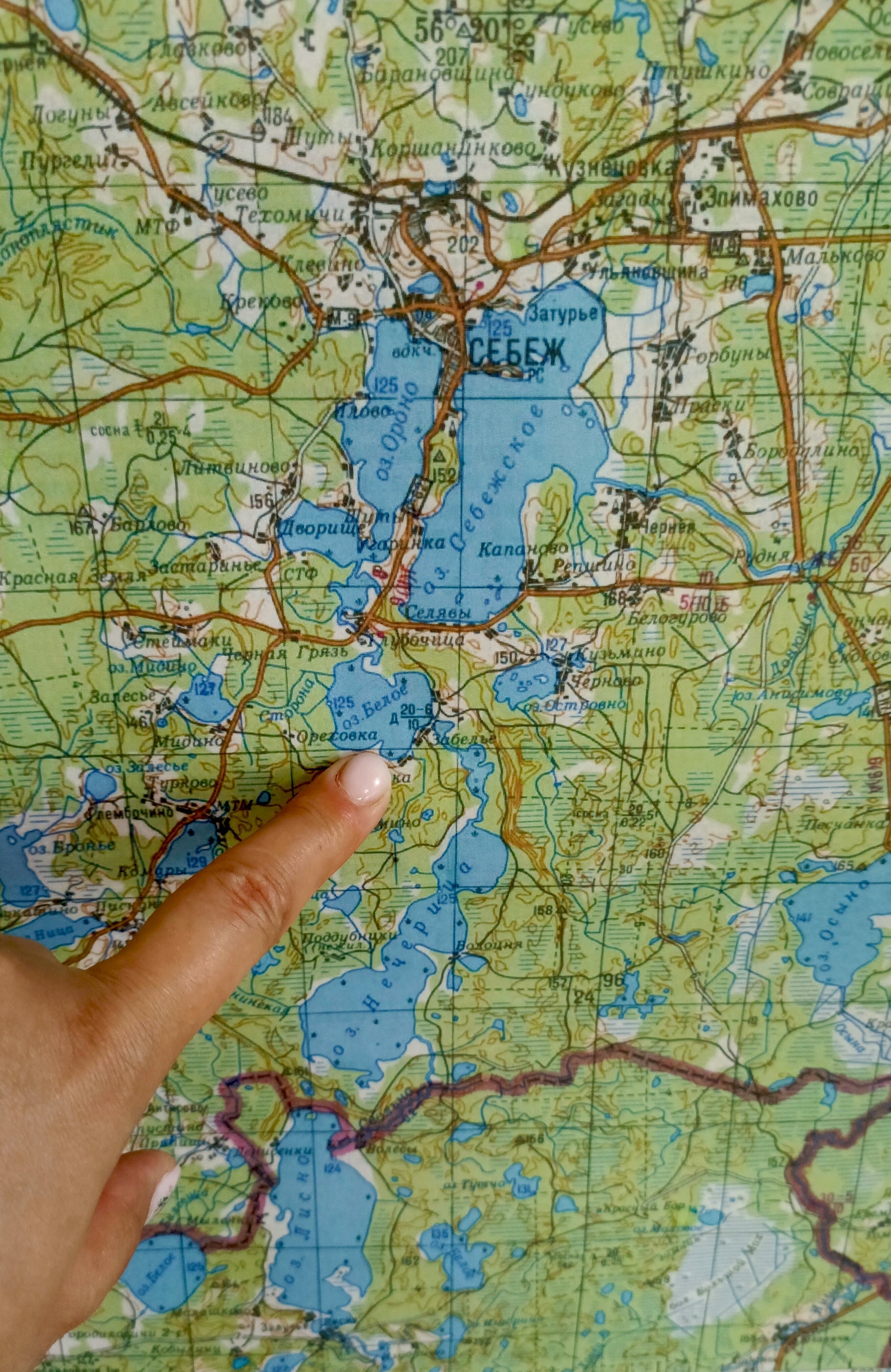 Фото Усадьба Забелье 4