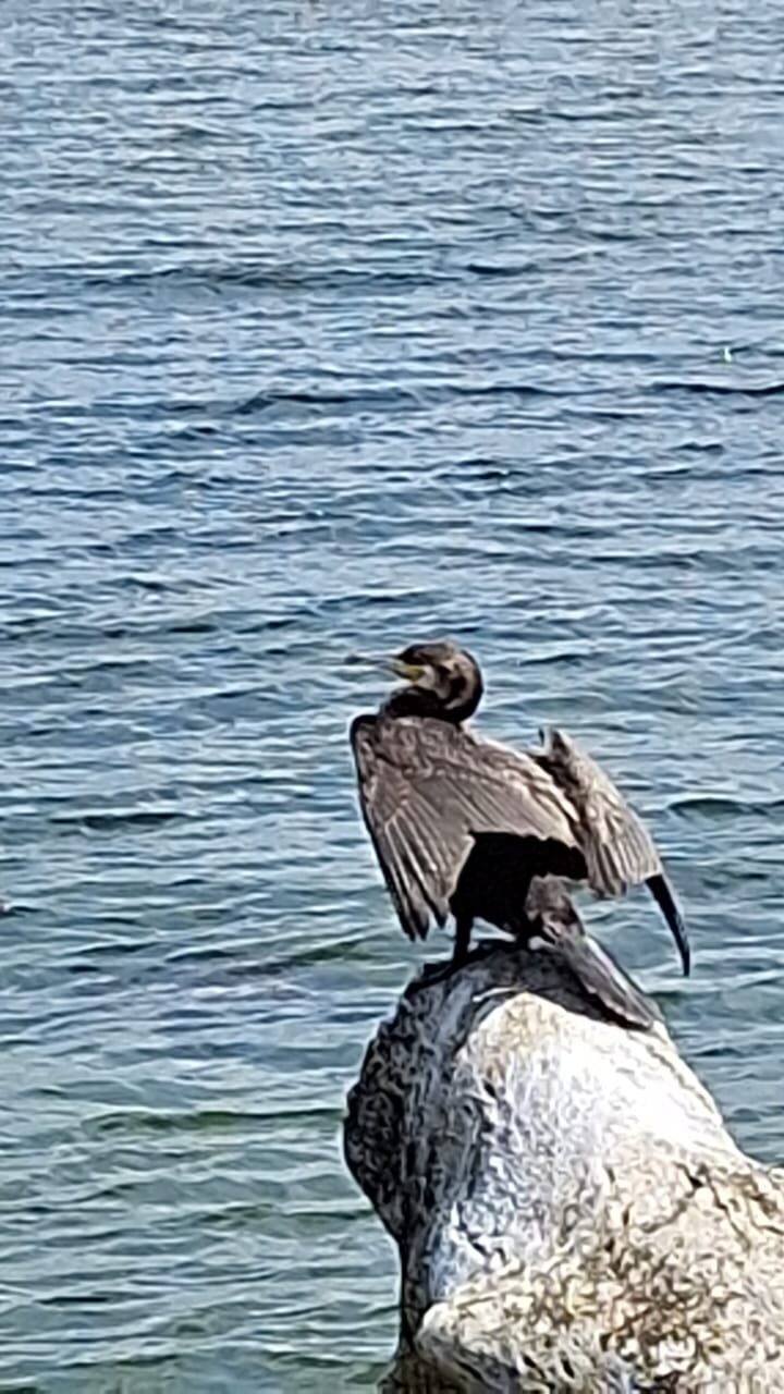 Фото Морское Небо