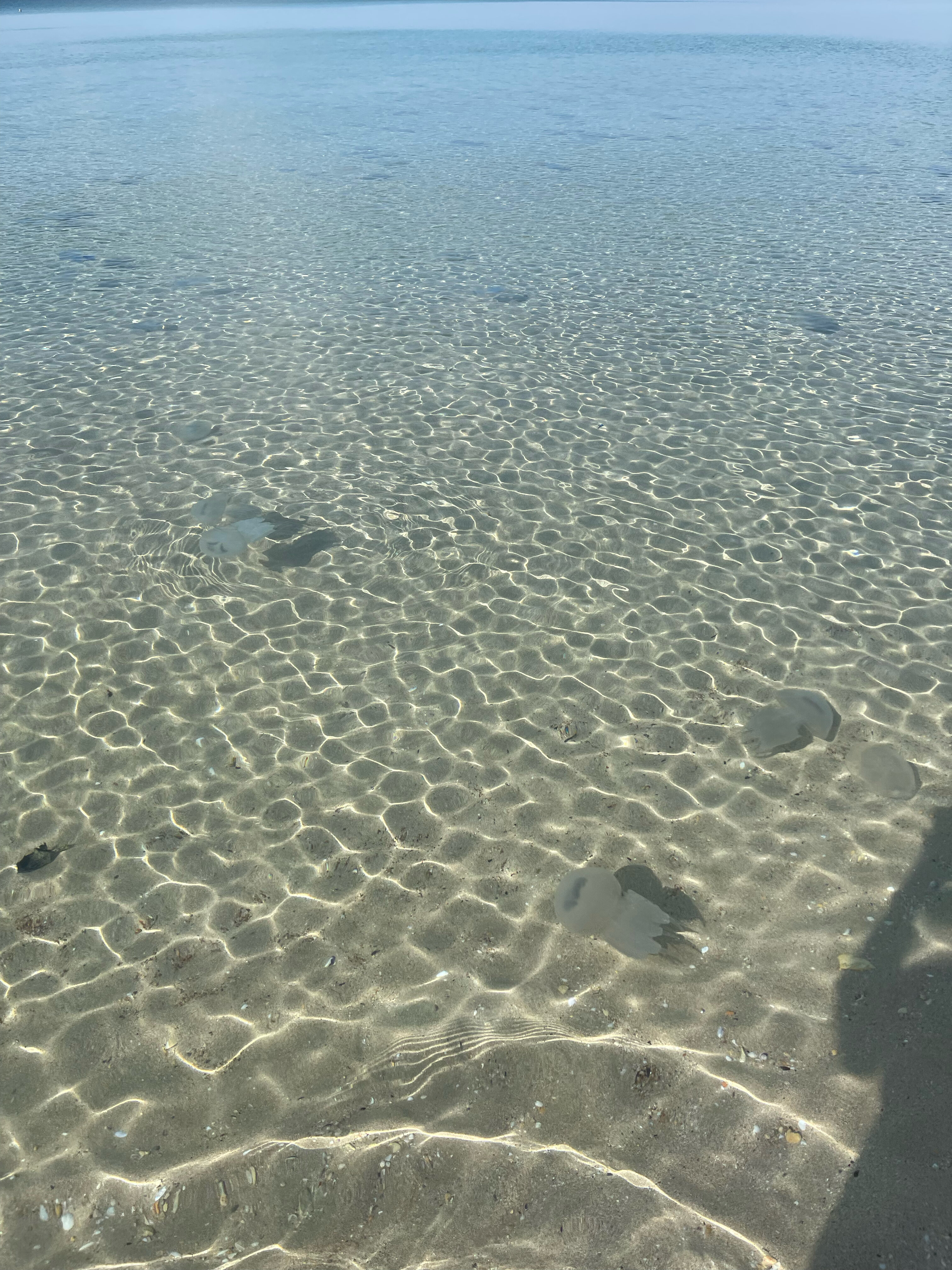 Фото Усадьба Агидель