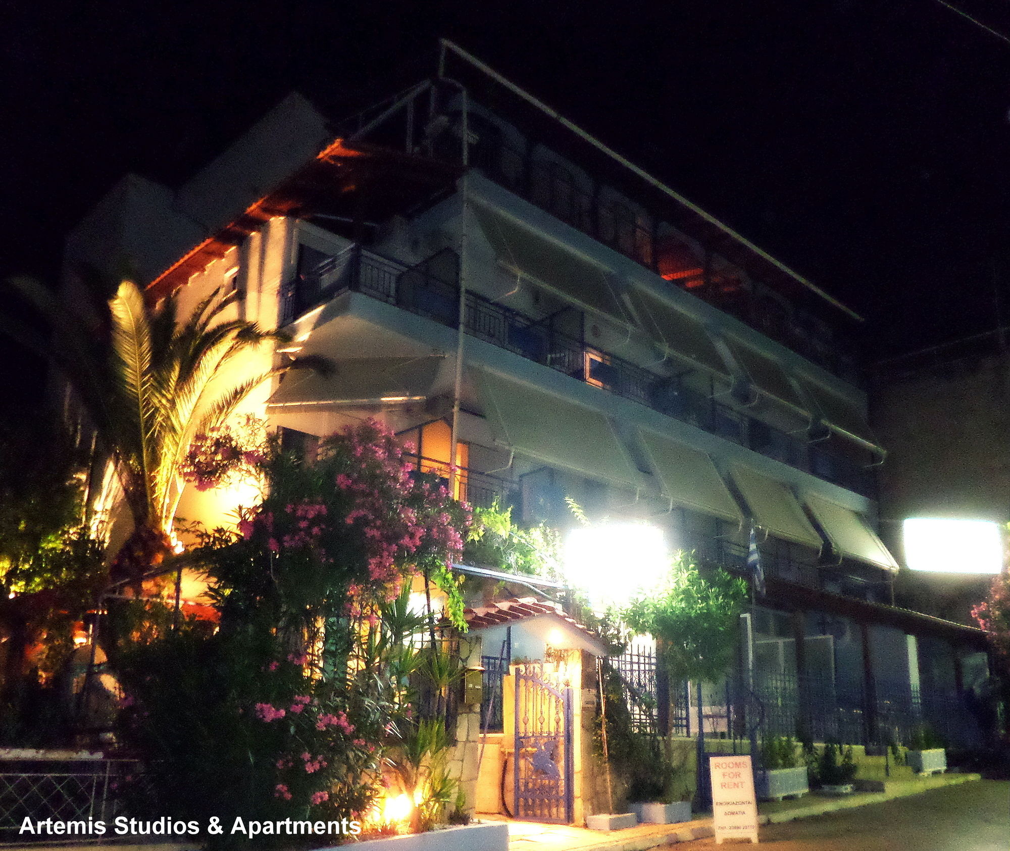 Фото Artemis Studios & Apartments