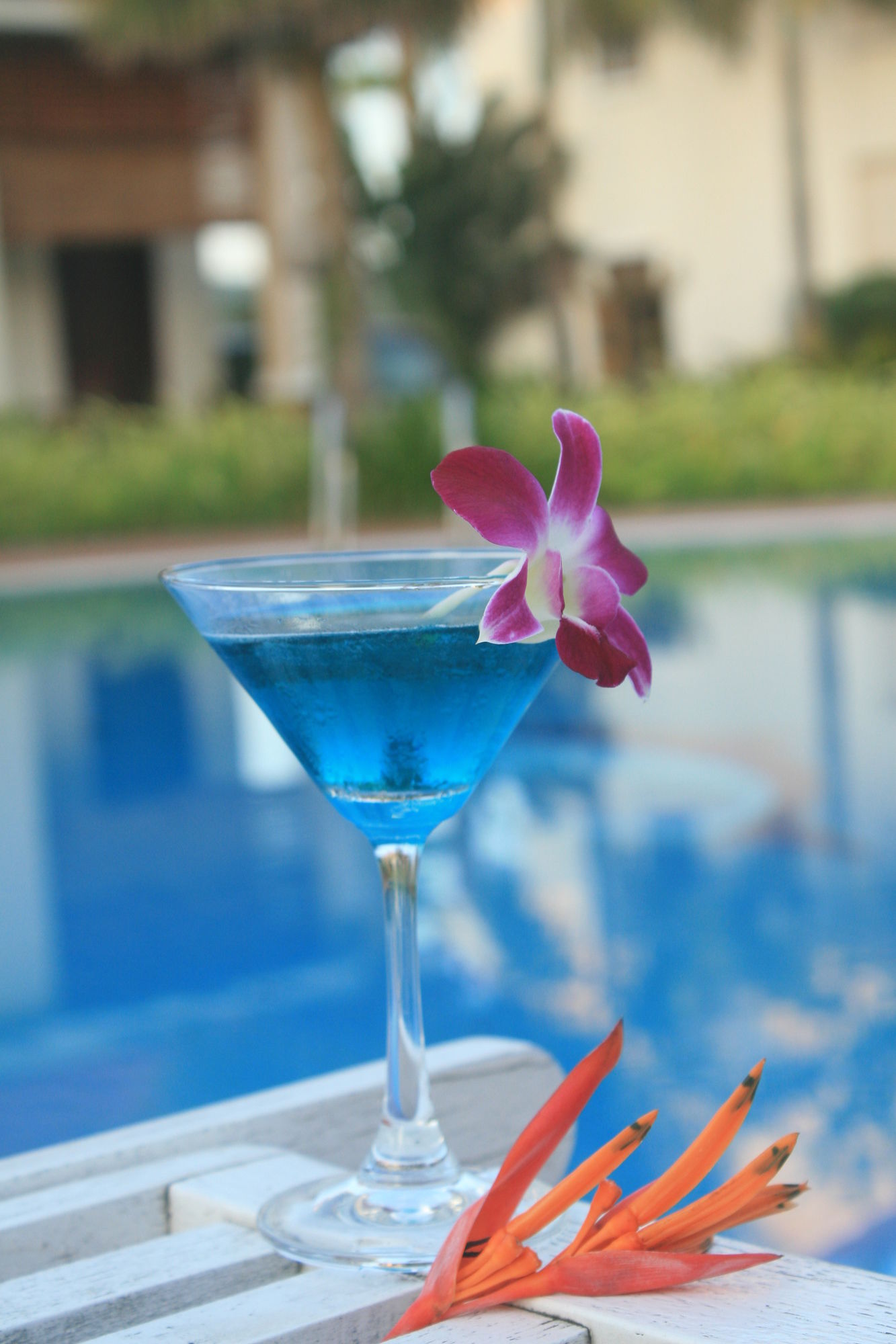 Фото Bach Duong Resort