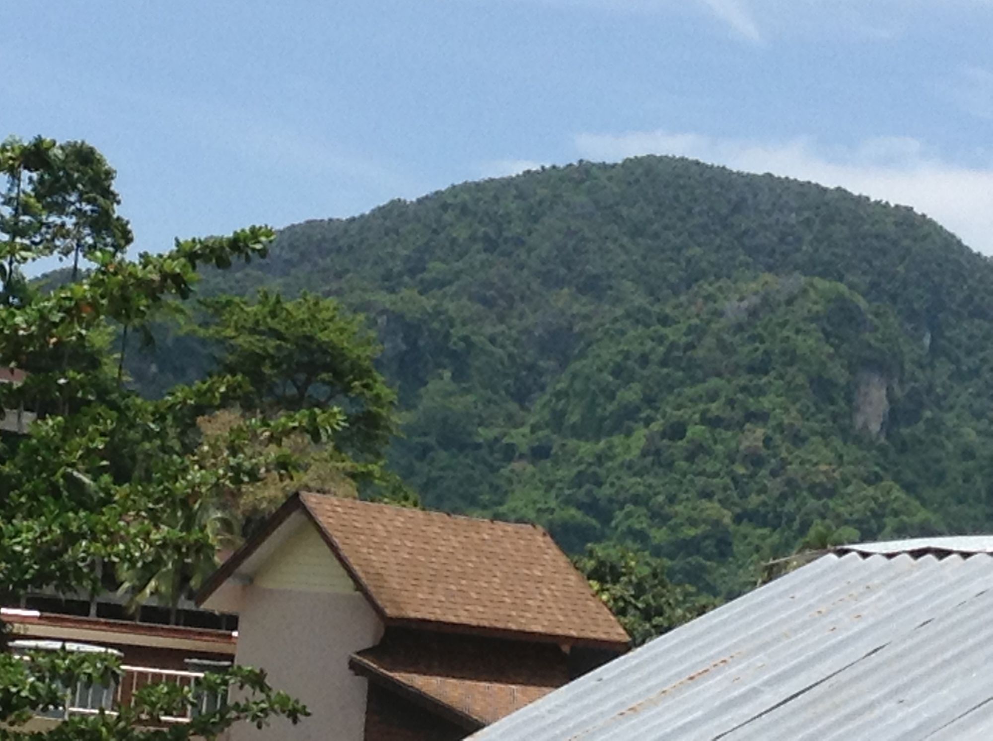 Фото Coco's Guesthouse