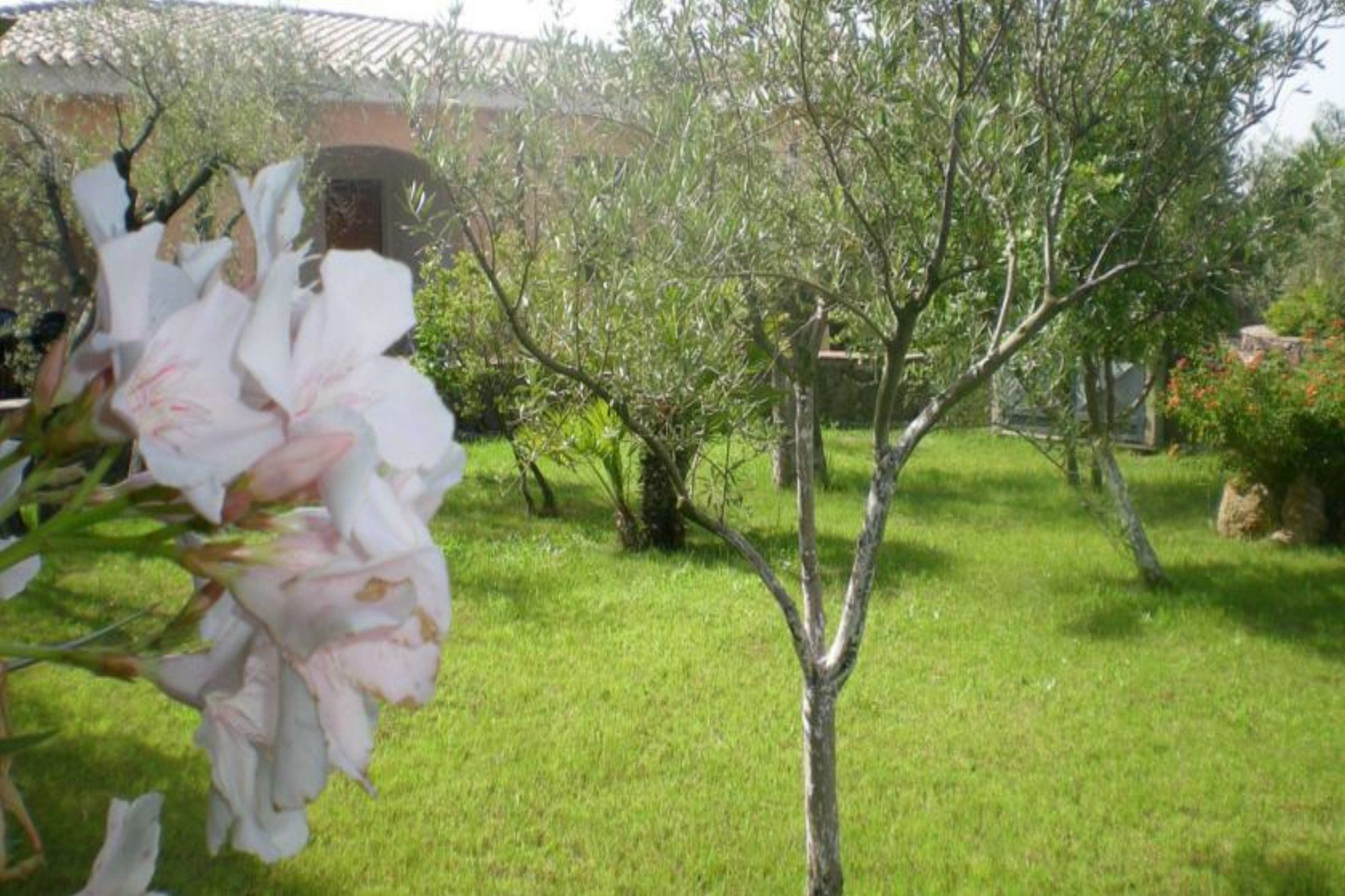 Фото Residence Marina Palace