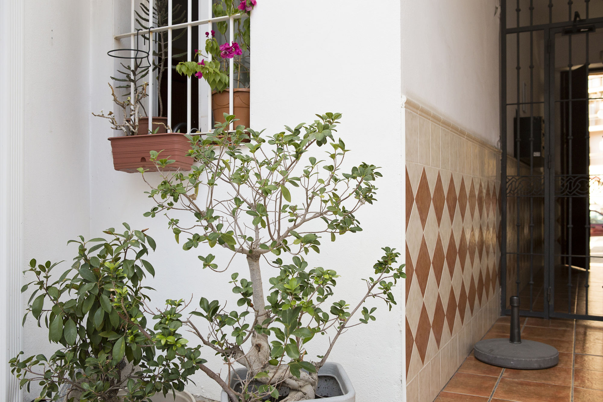 Фото Suncity Plaza Apartments