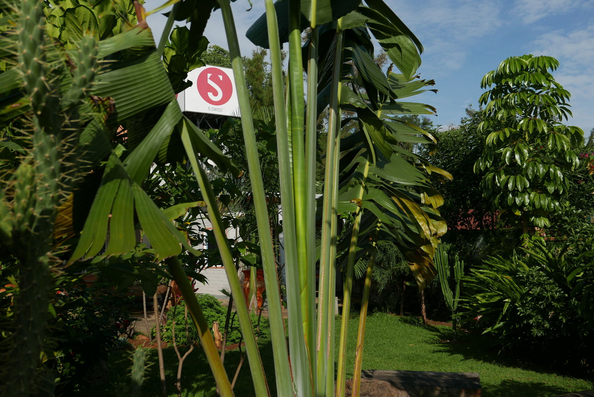 Фото 5 Swiss Hotel