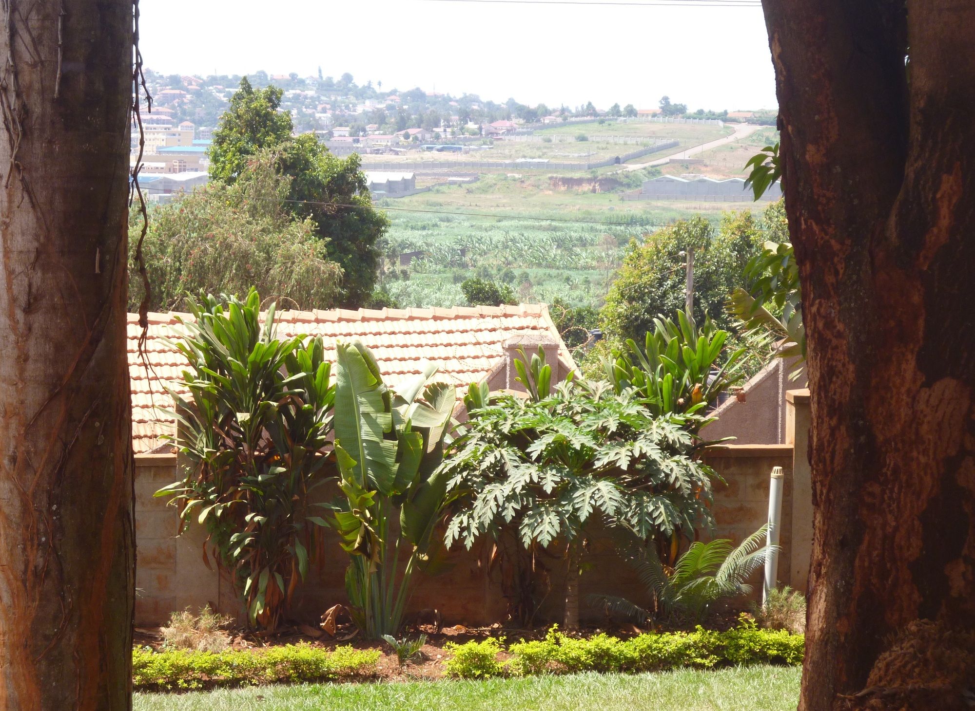 Фото Papaya Holiday Home