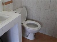 Фото Orchid House