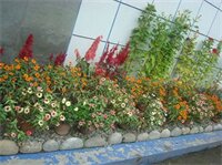 Фото 111662868044