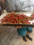 Продукты (ulitsa Gagarina, 16), grocery