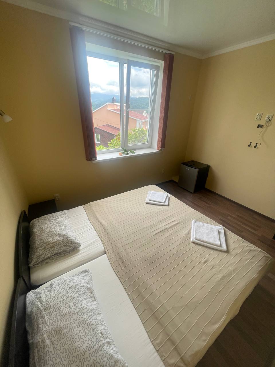 Фото Белые Росы