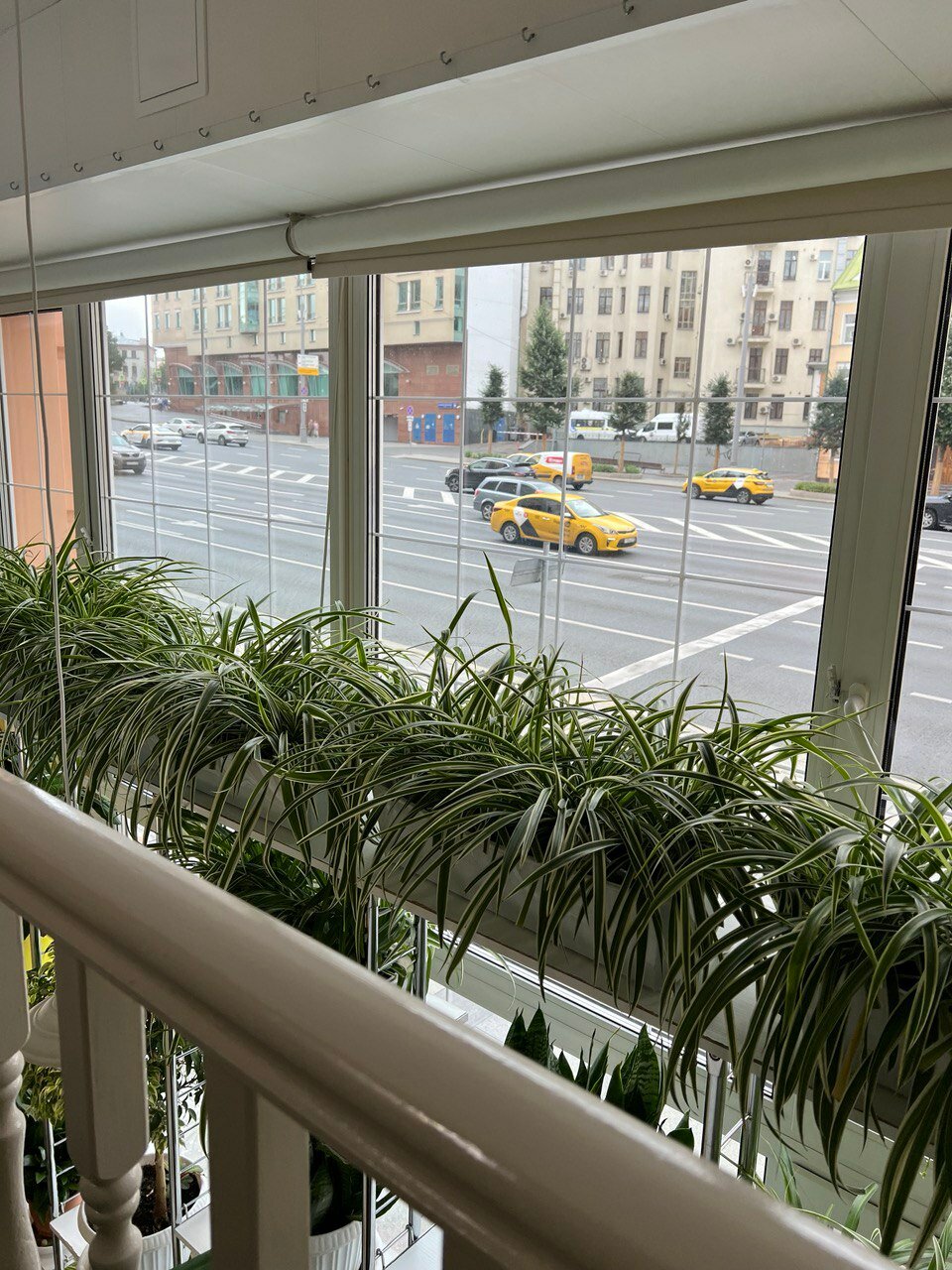 Фото Венеция в сердце моём