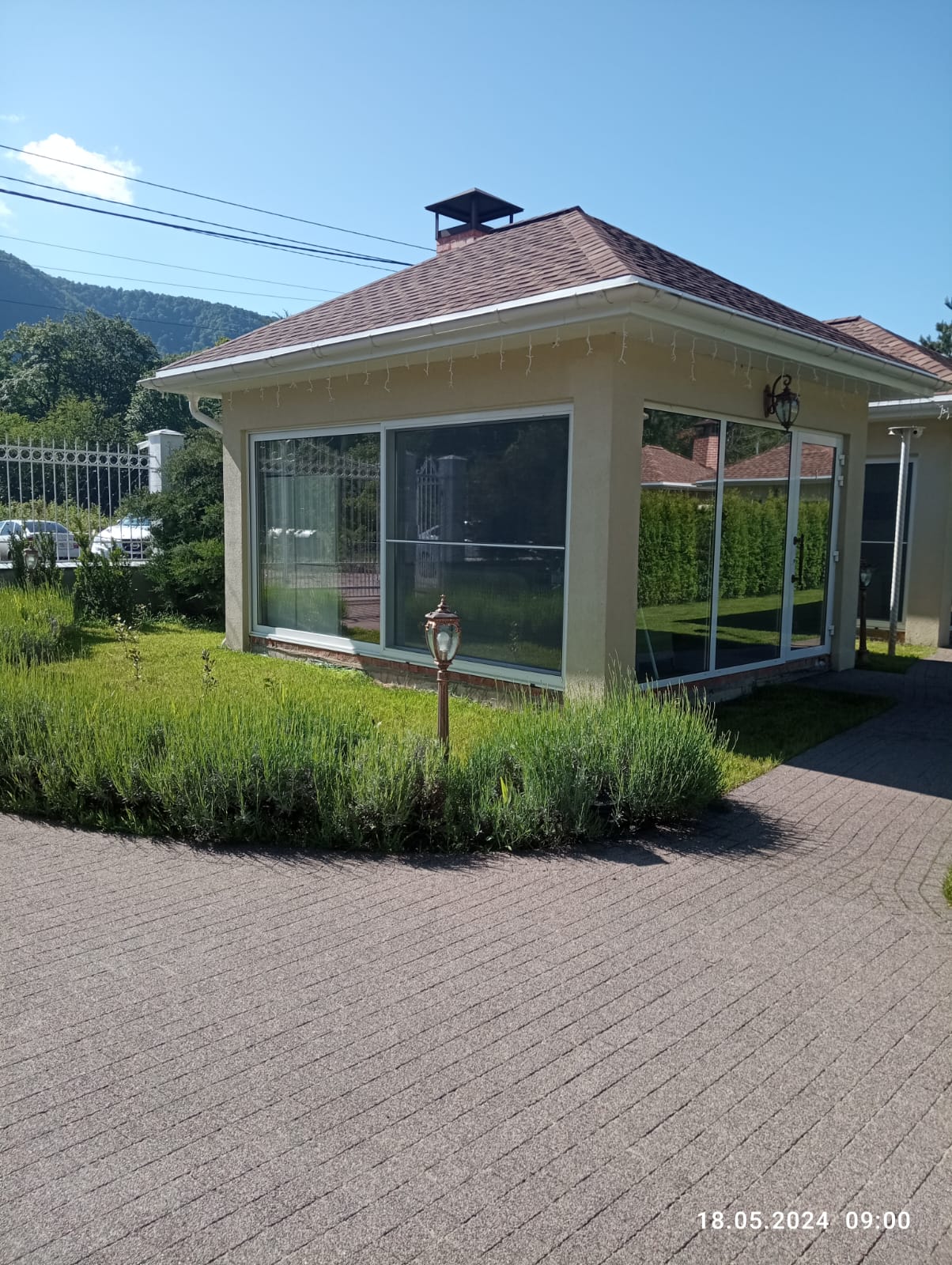 Фото Лаванда