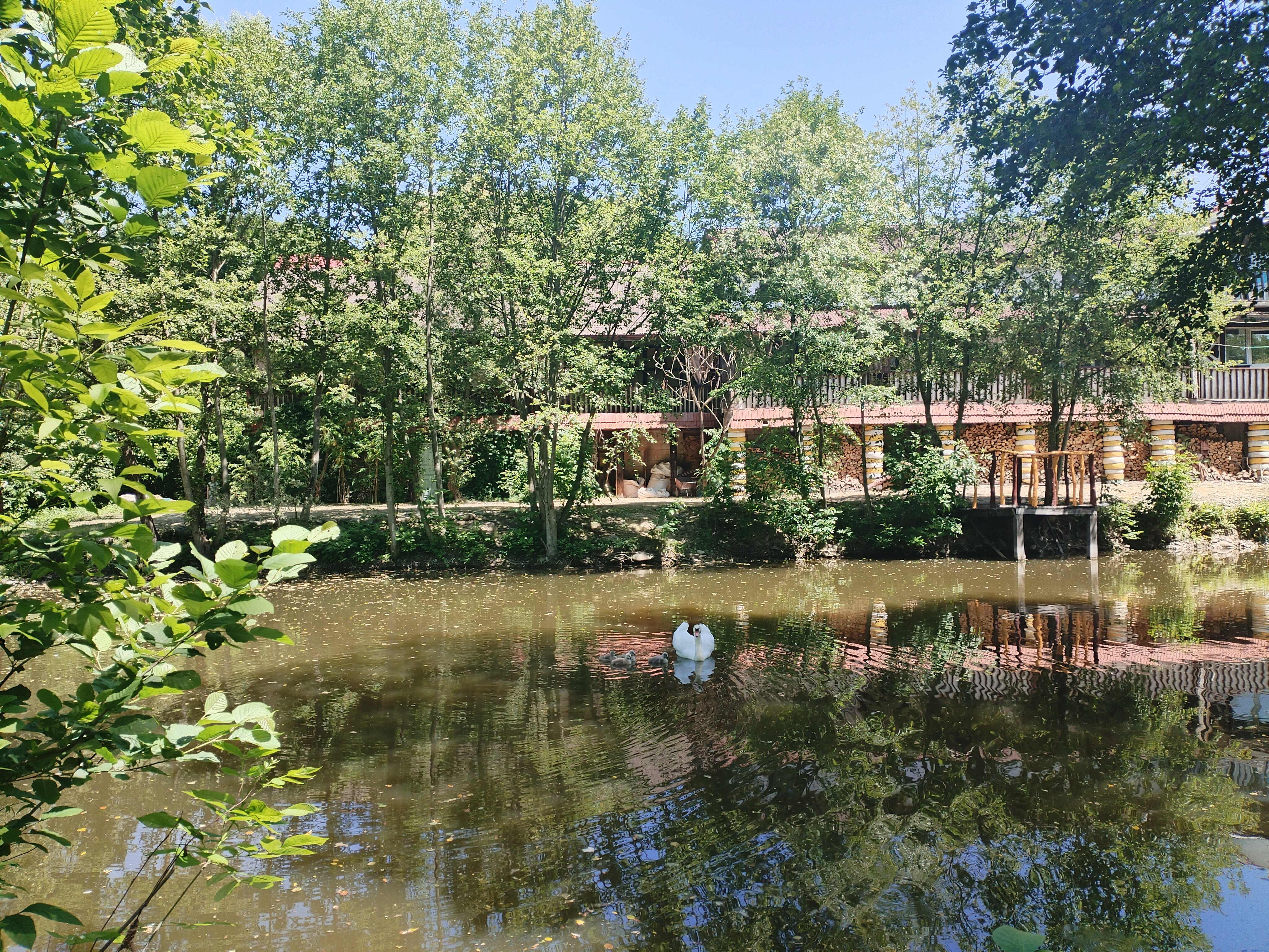 Фото Беловодие