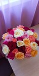 Цветотека (ул. Хошимина, 9, корп. 1, Санкт-Петербург), доставка цветов и букетов в Санкт‑Петербурге