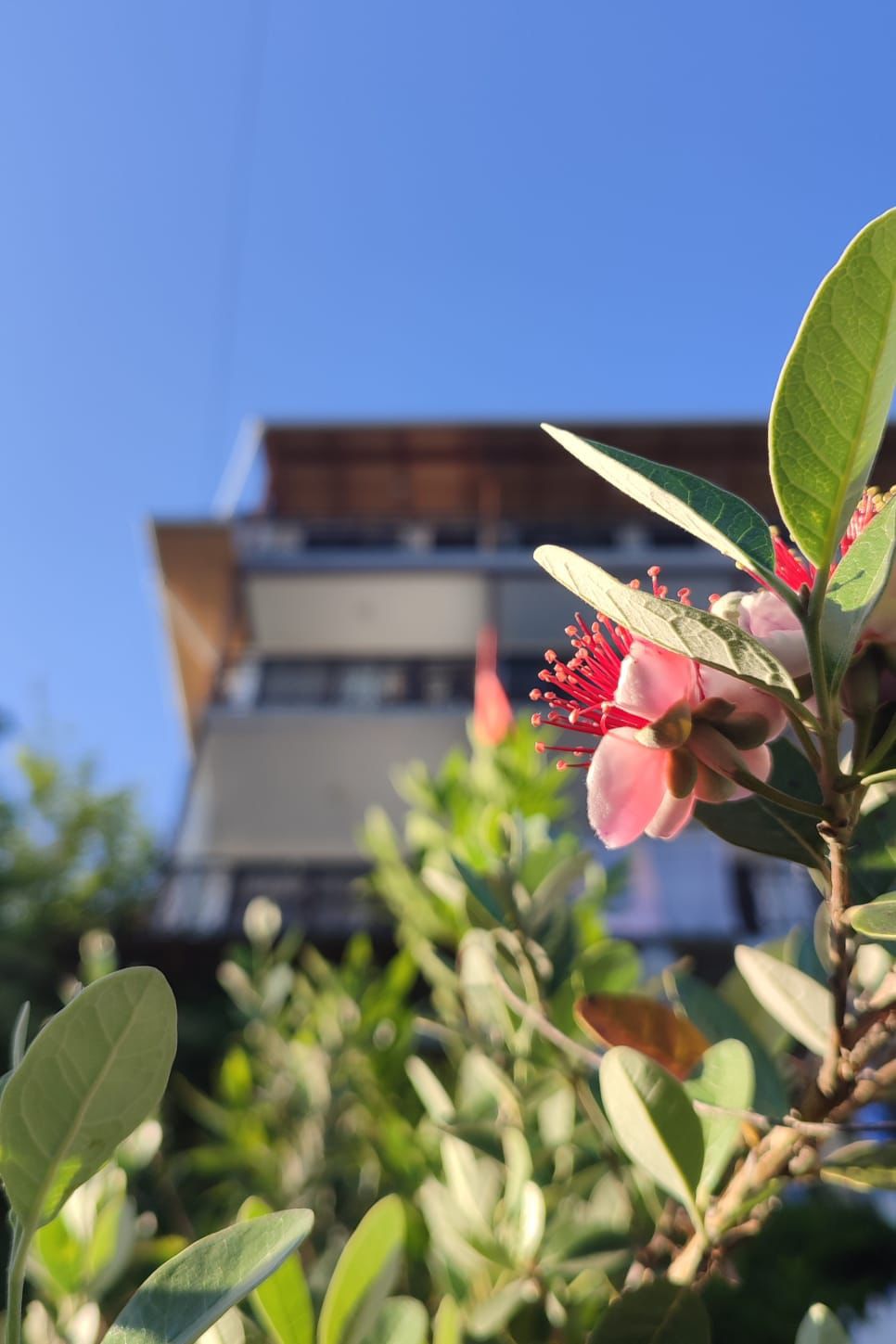 Фото Ривьера Пицунда