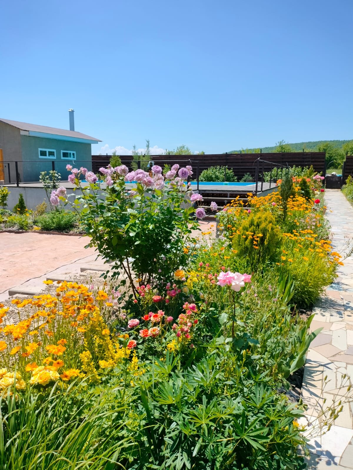 Фото Горный родник