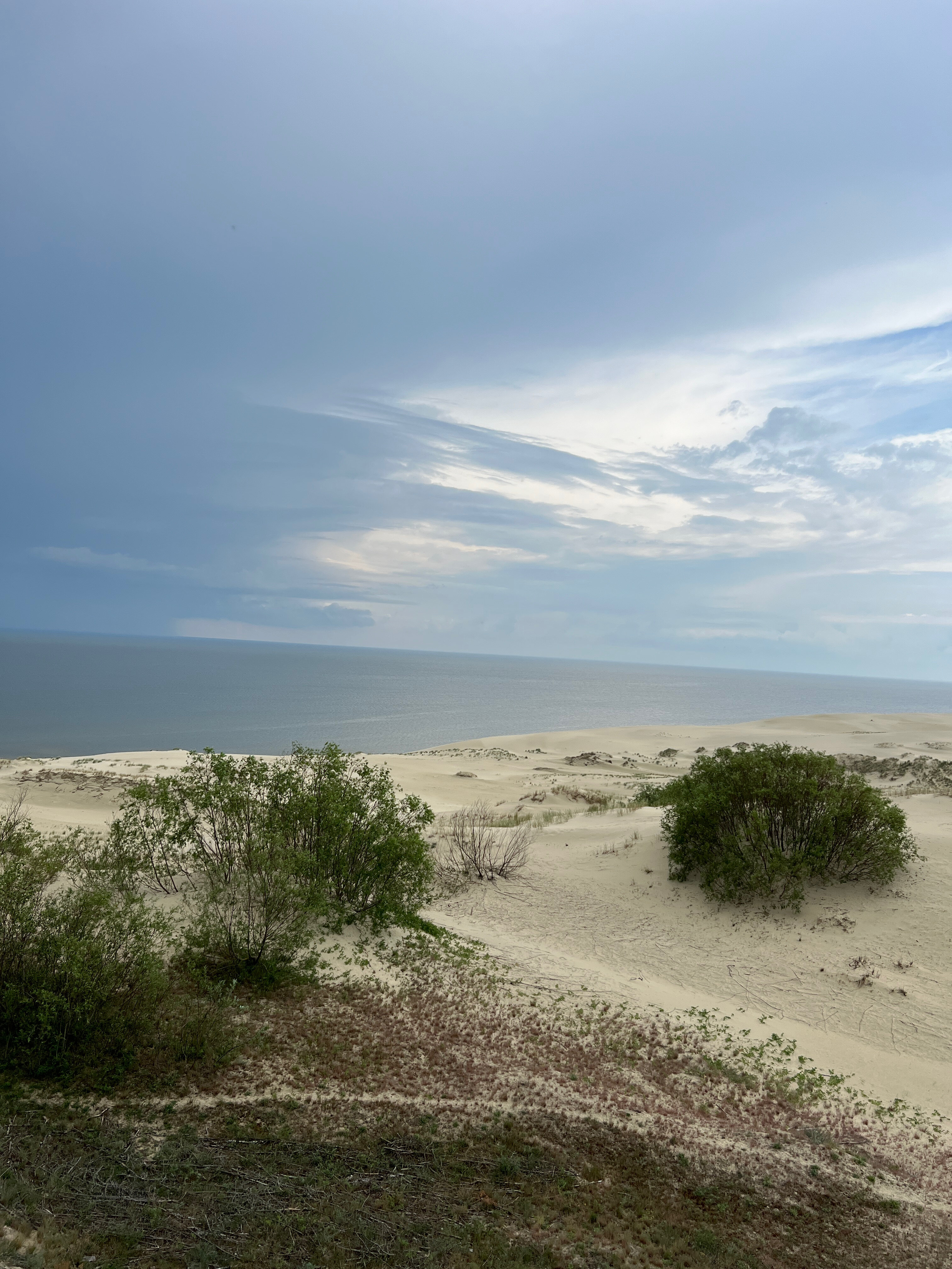 Фото Патриот