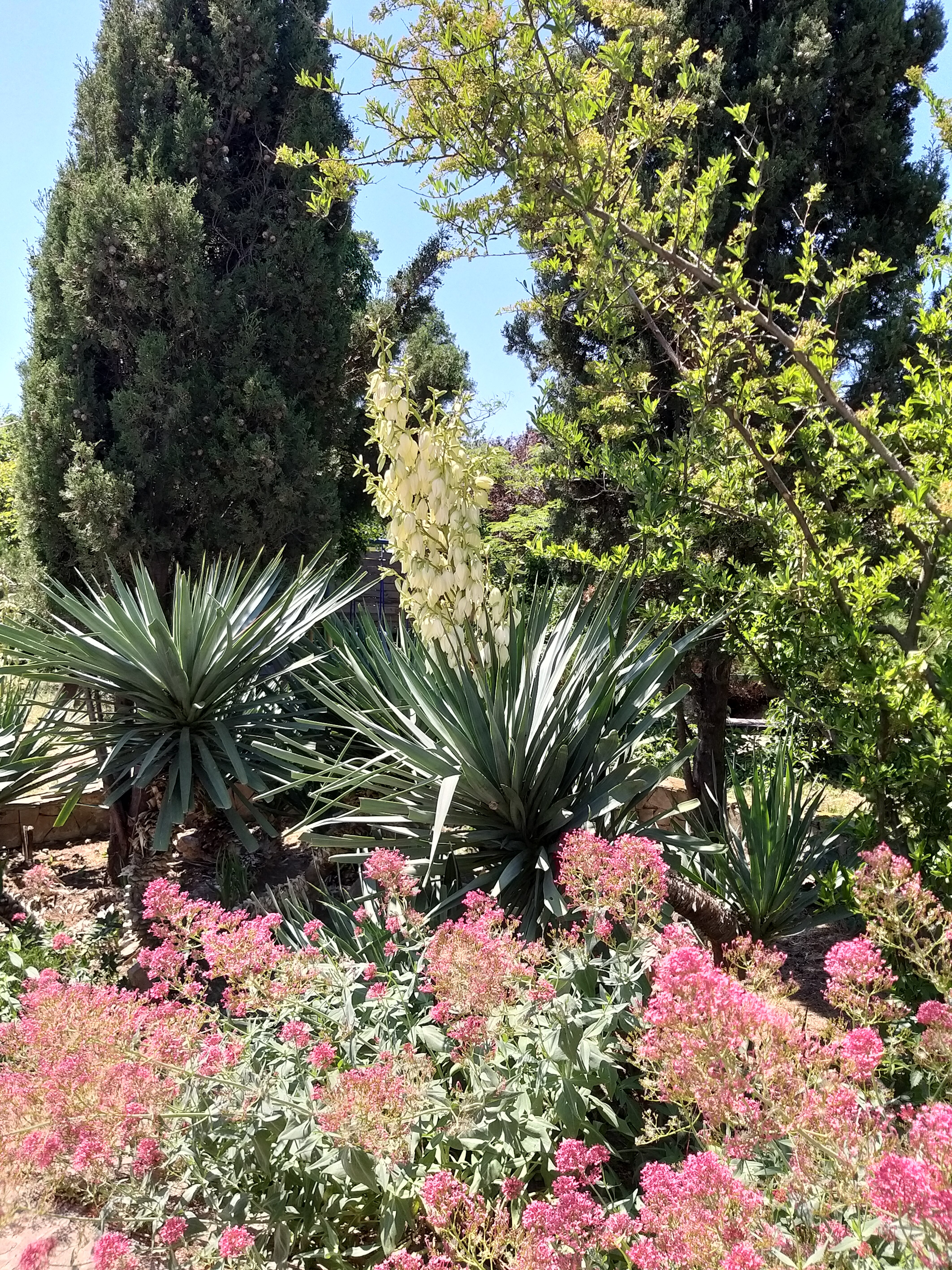 Фото Казантип