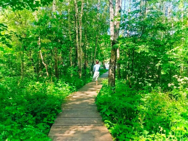 Фото Глэмпинг Ильино