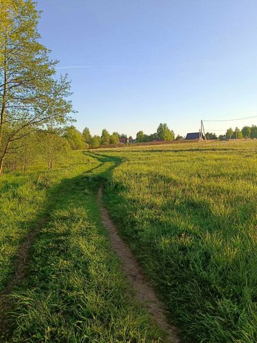 Дом у чёрной речки  фото 8