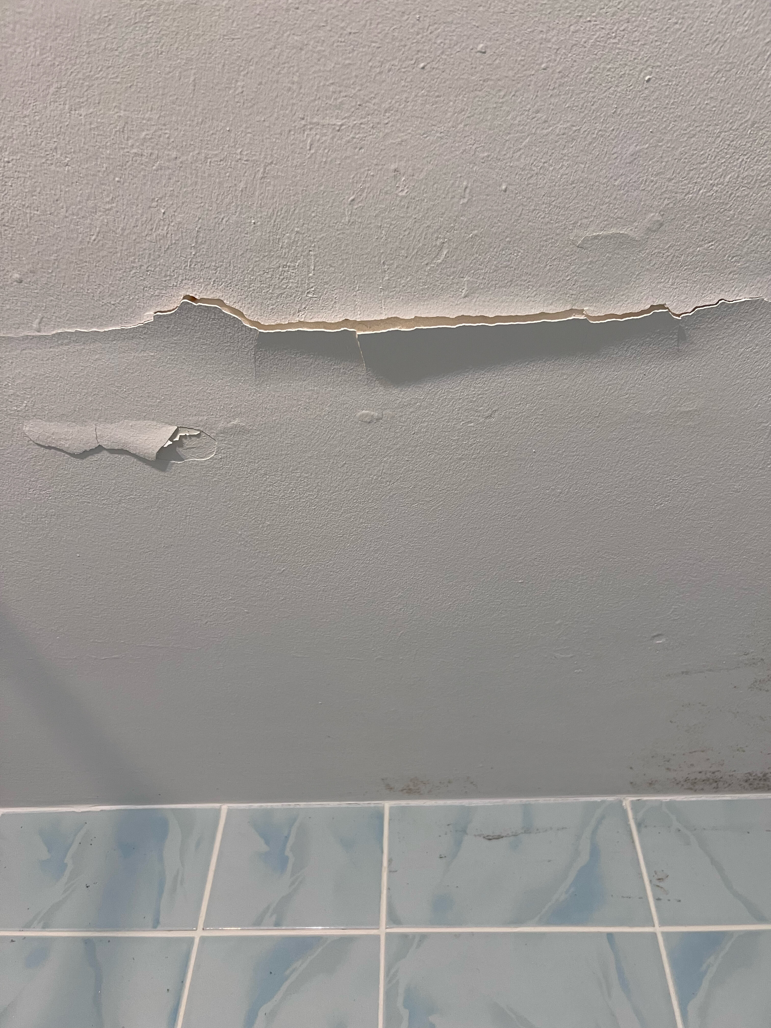 Фото Simple Bon Voyage